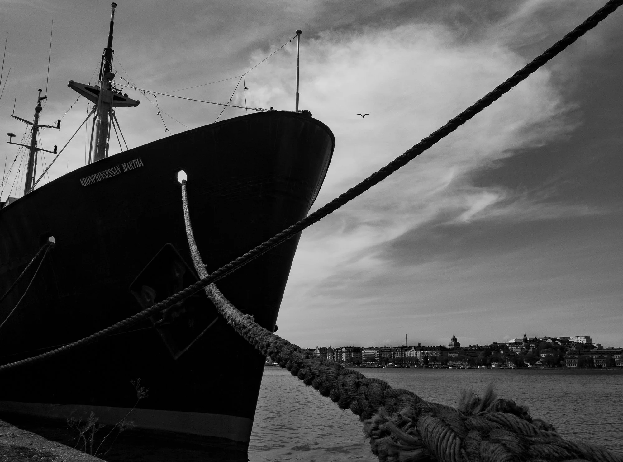 Ship's Bow