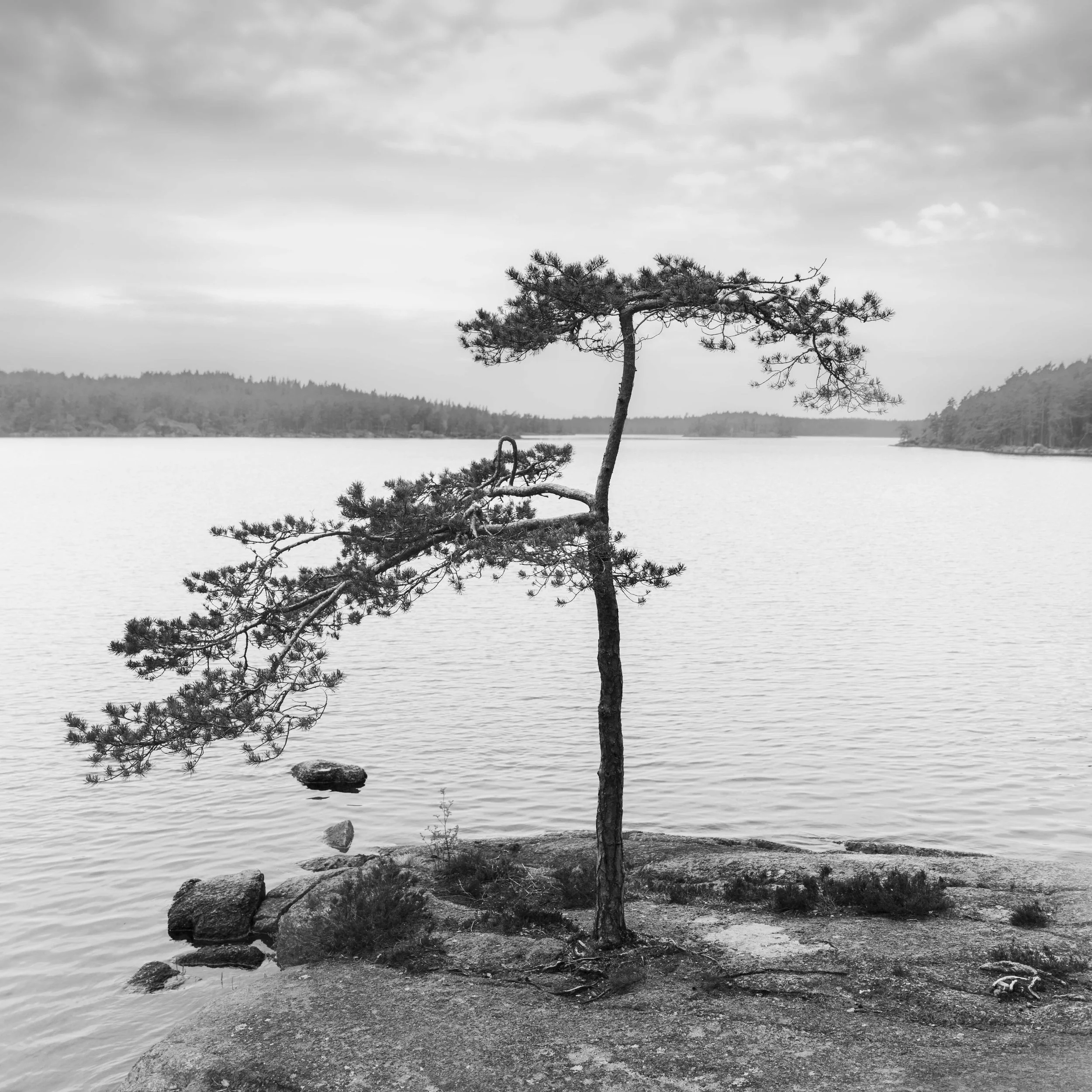 Stand Alone