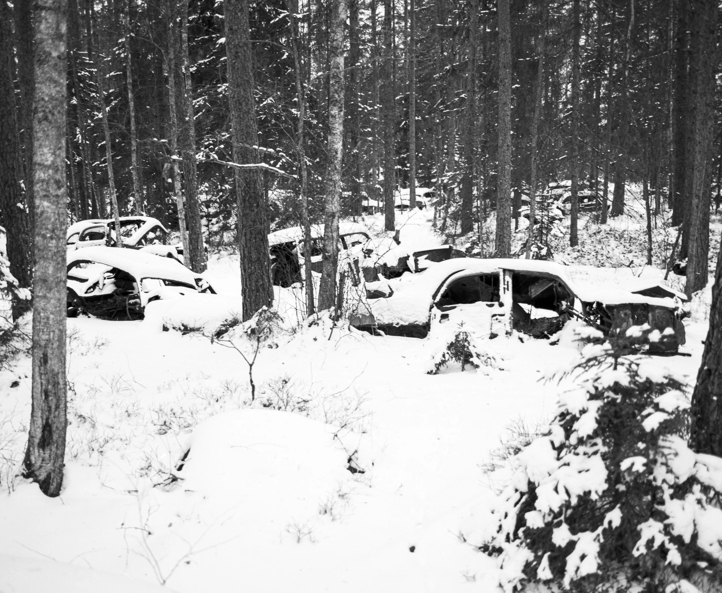 2026-02-14 Bilkyrkogården i Ryd T-max 400 05.jpg