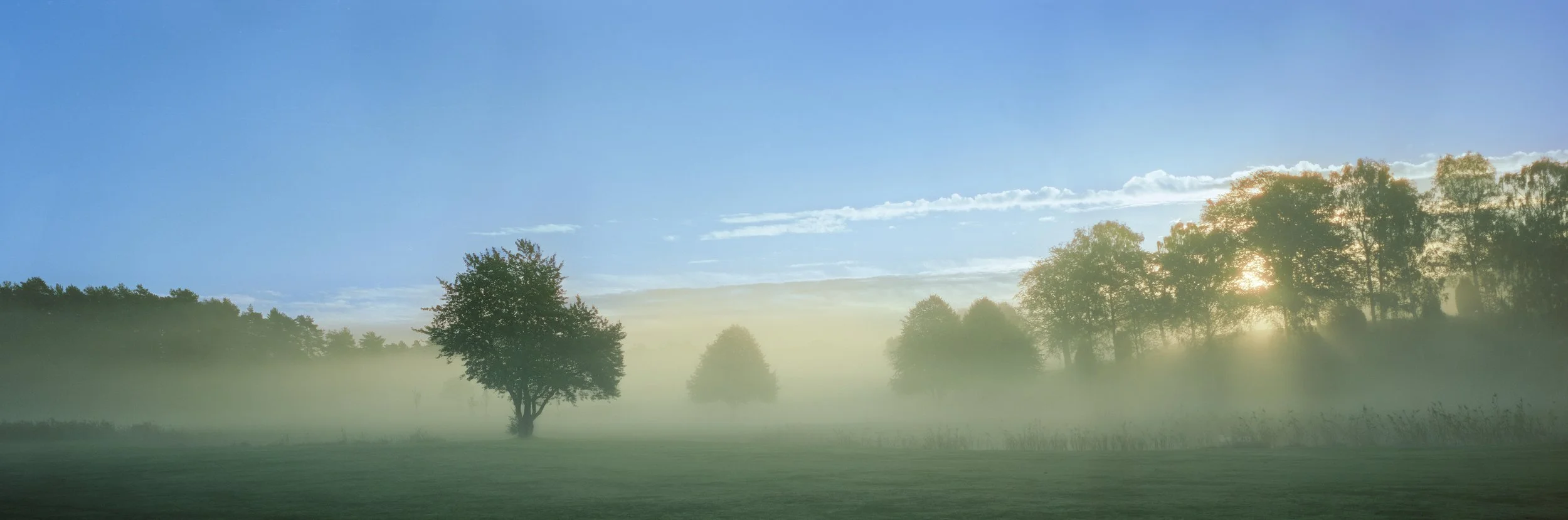 Morning Mist