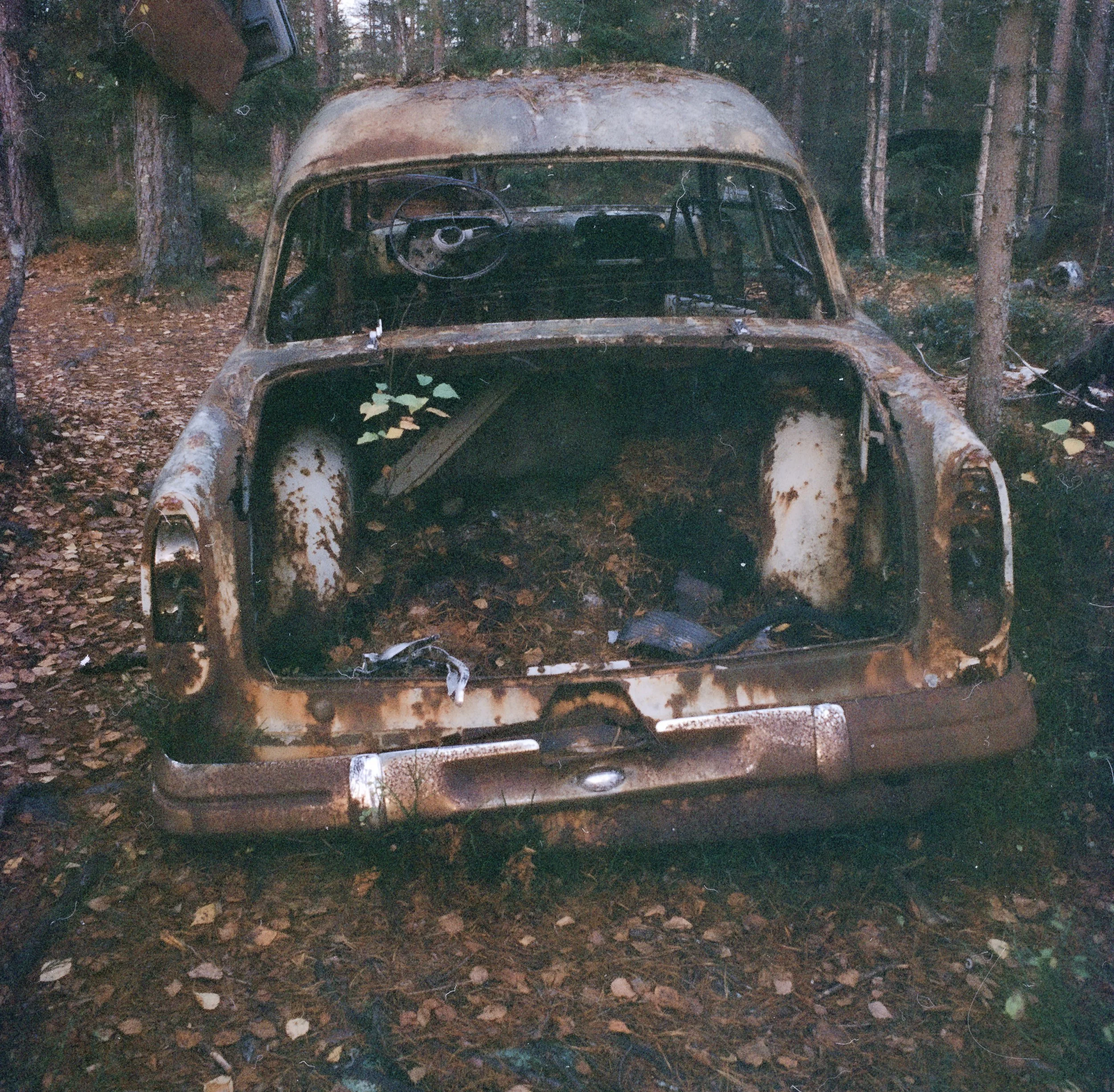 2025-10-19 Bilkyrkogården i Ryd 07.jpg
