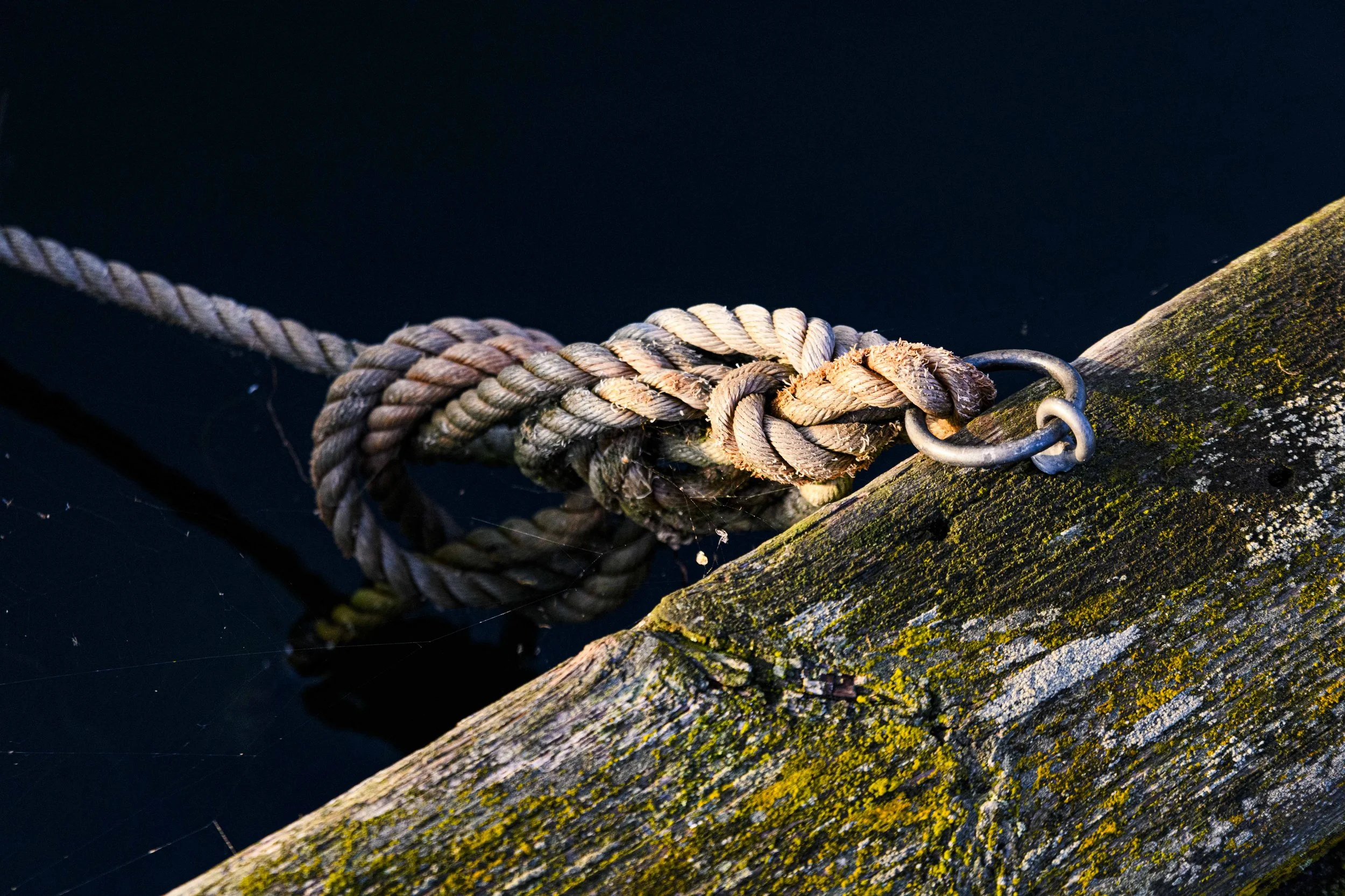 DSC_6357.jpg