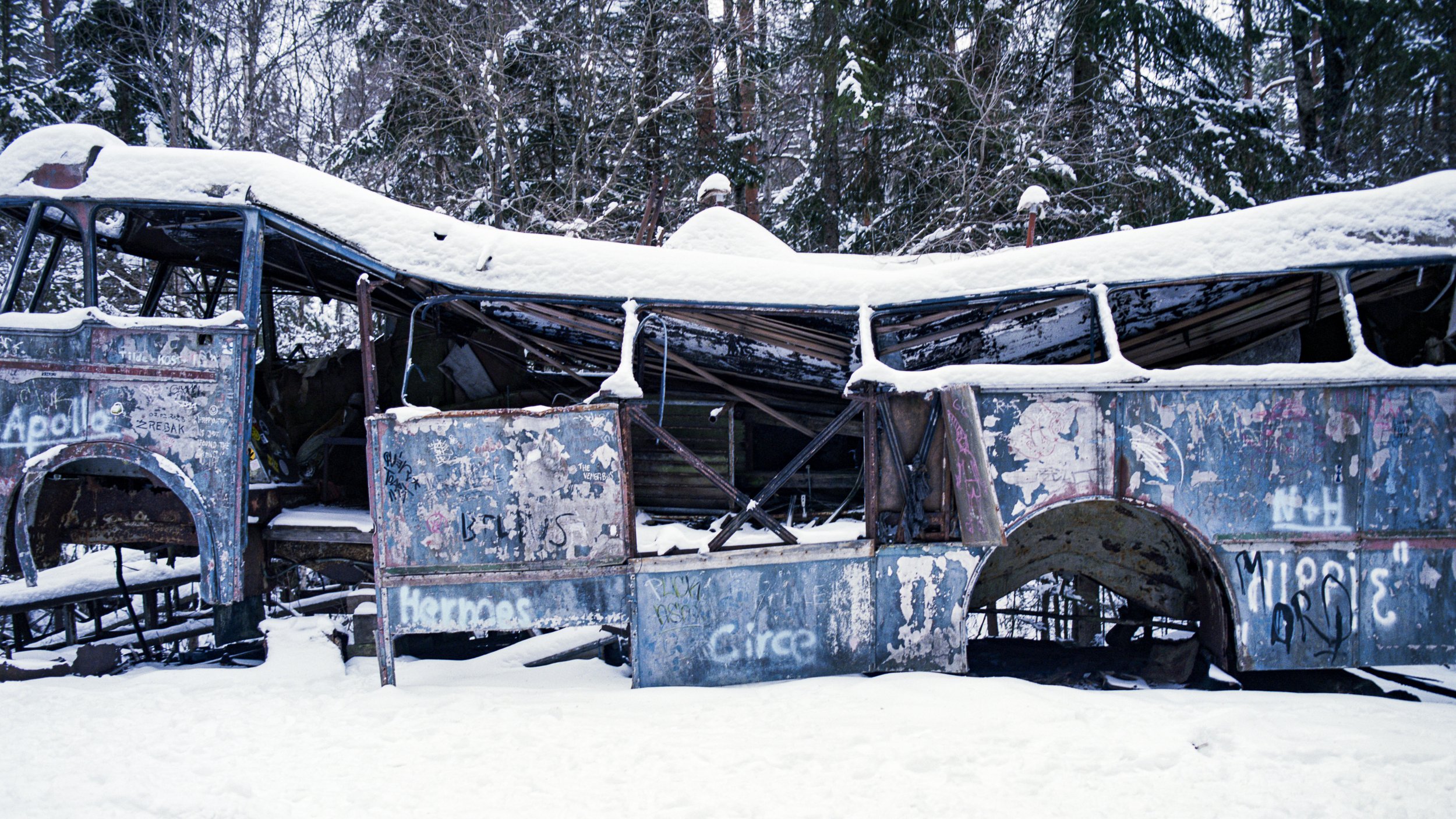 2026-02-14 Bilkyrkogården i Ryd Portra 400 12.jpg