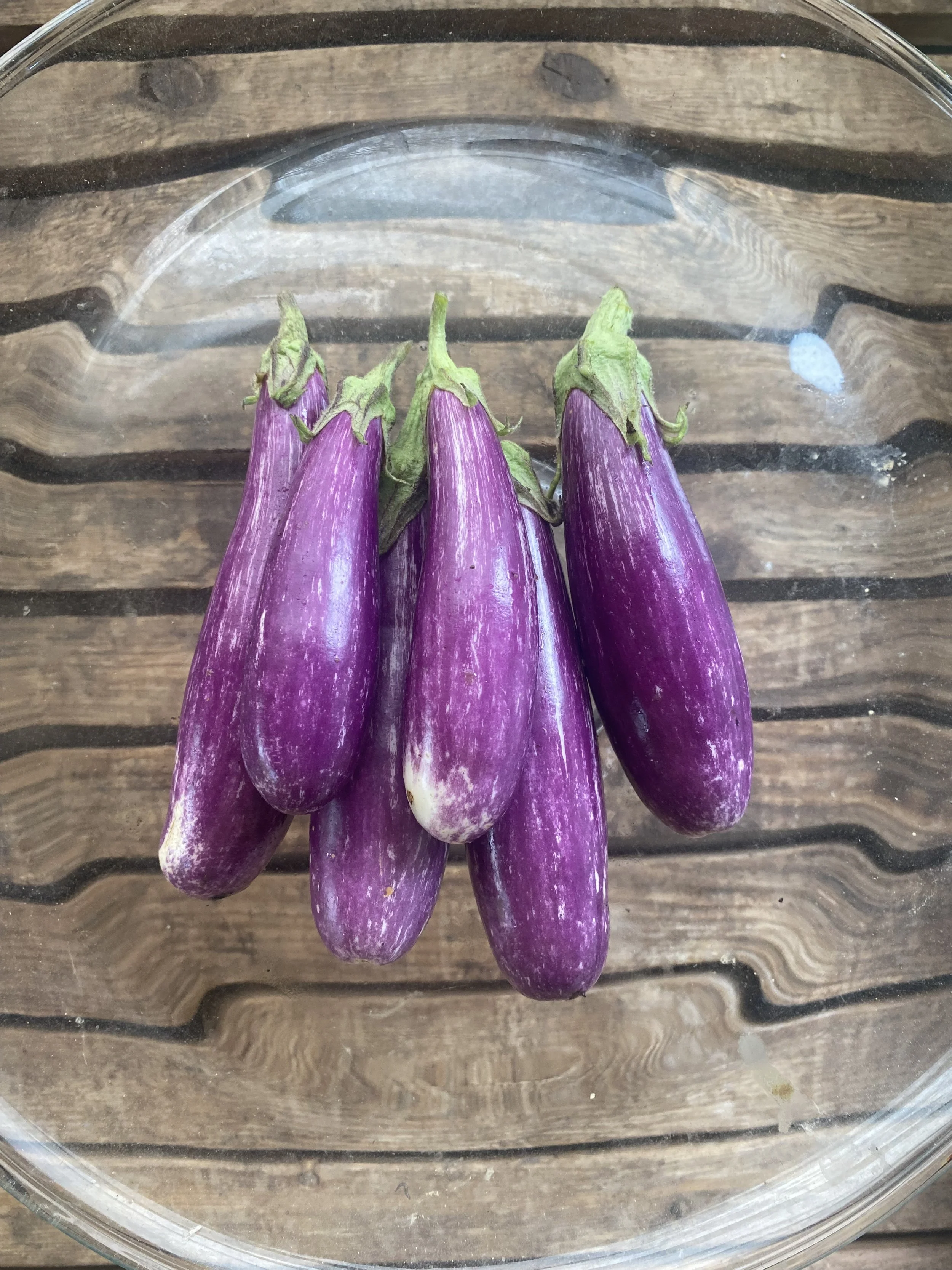 Fairy Tale Eggplant
