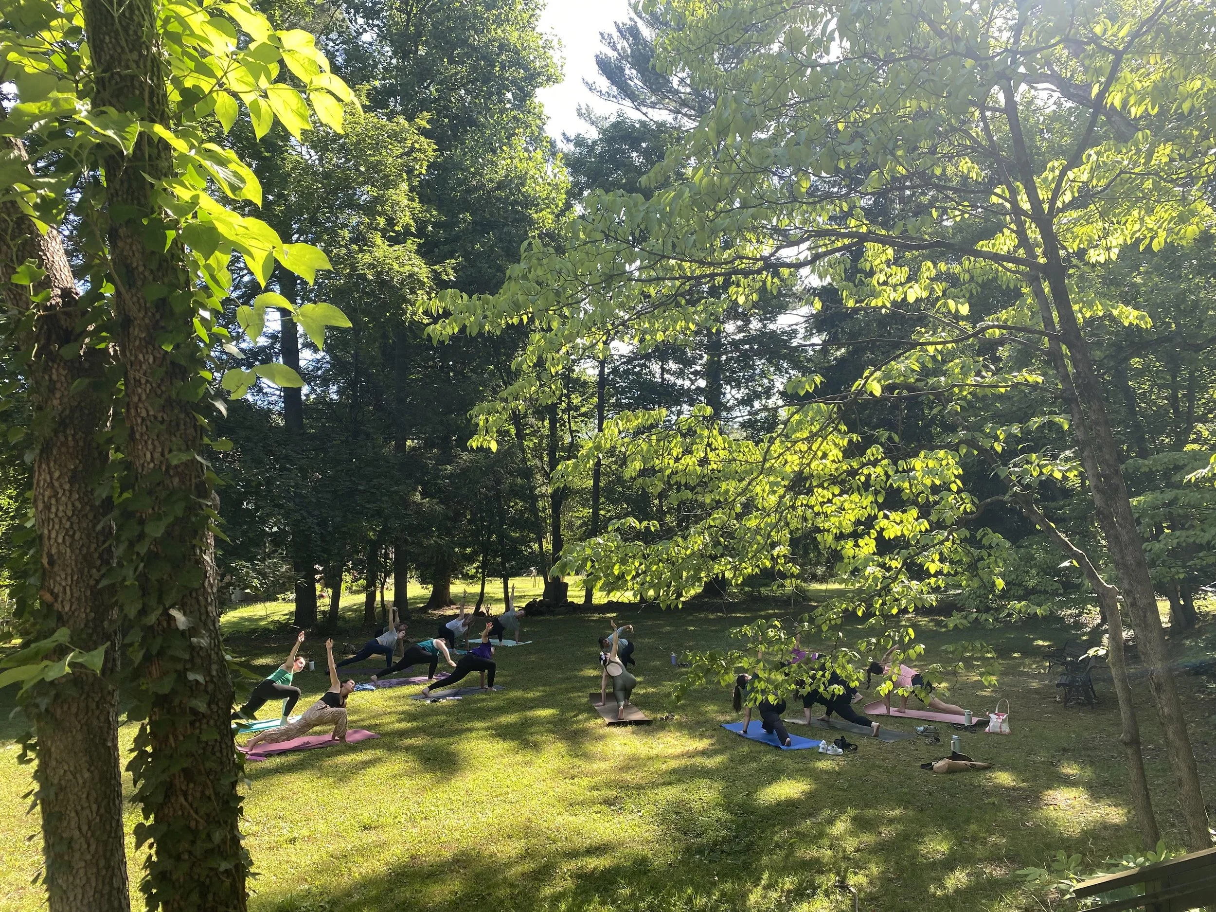 Yoga + Blooms