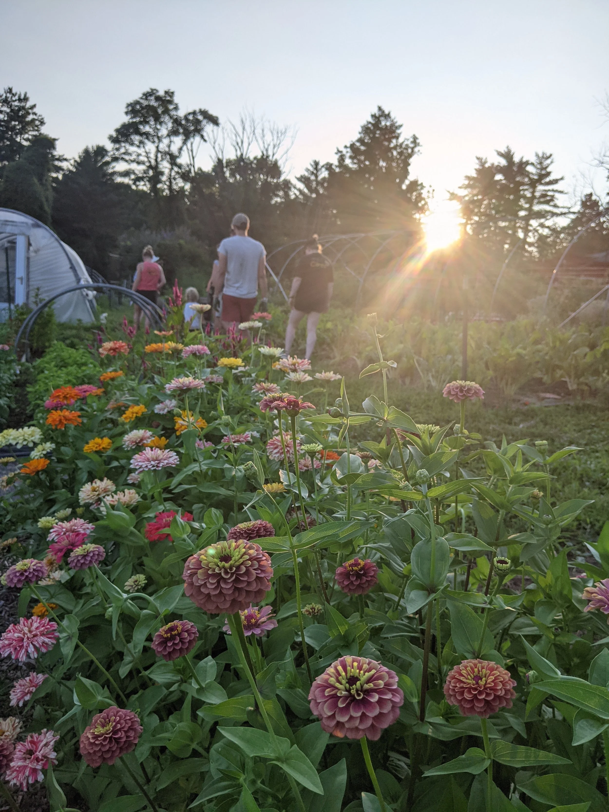 Pick Your Own Bouquet Evening