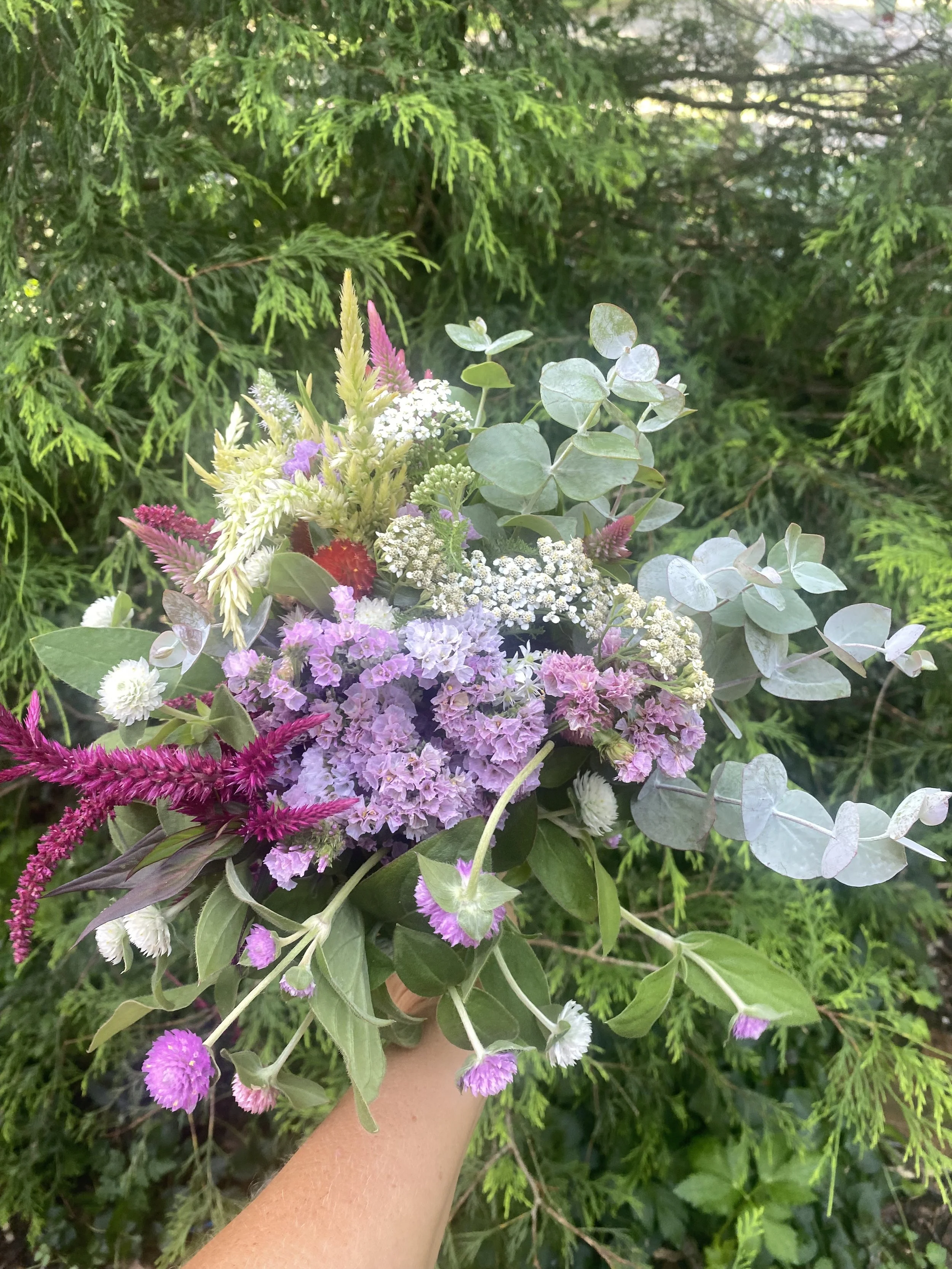 IMG_0471.jpeg