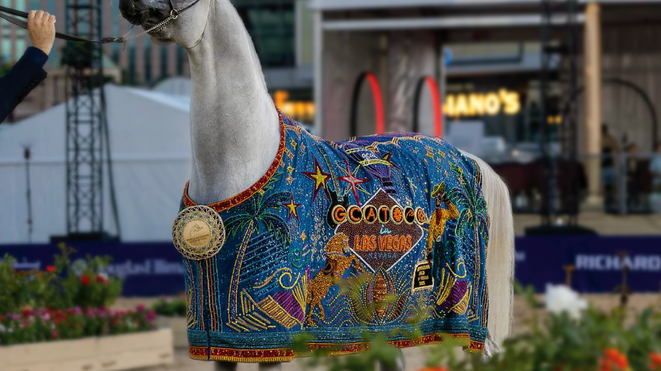 Photo Credit: Arabian Insider