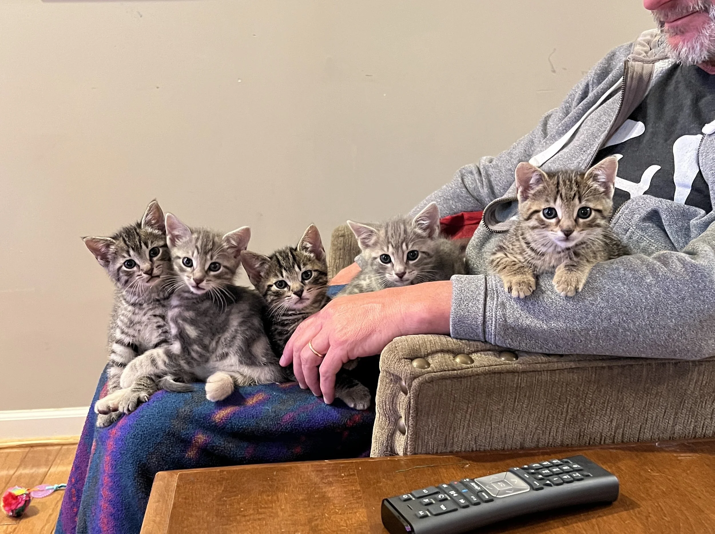 The 5 of Us