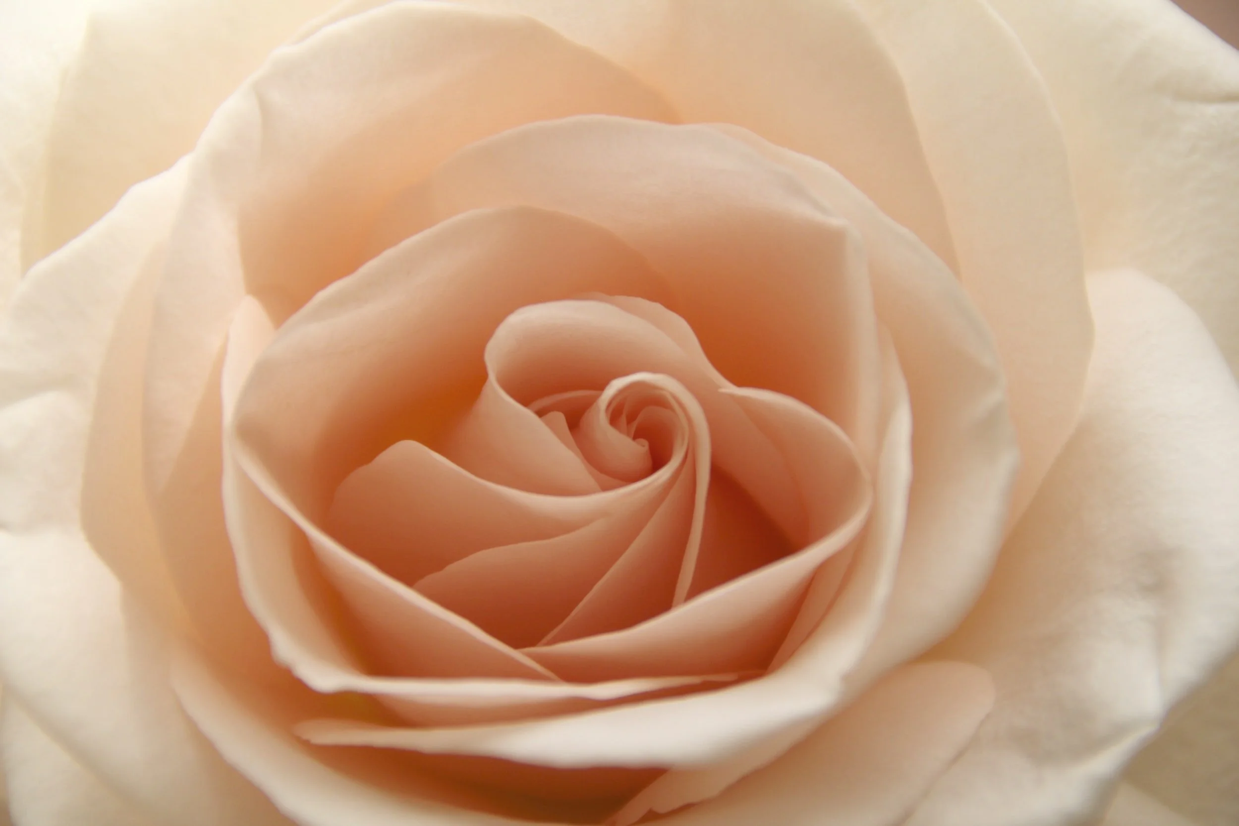 Laura Jacobs | Laura the Matchmaker | Match Me in Miami Roku