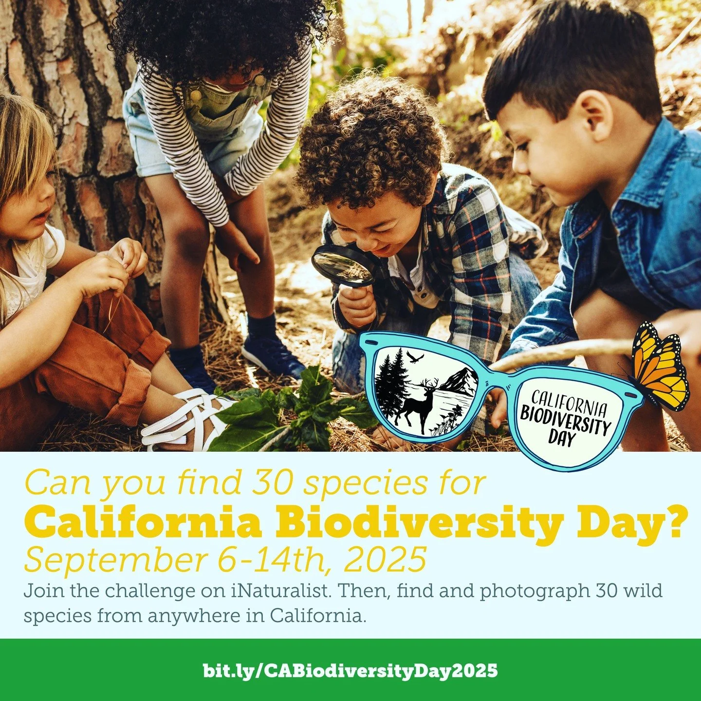 We are up for the challenge of California Biodiversity Week (September 6-14), are you? Join the Find 30 Species for California Biodiversity Day project on iNaturalist , and submit observations of 30 wild species between September 6-14. This is a stat