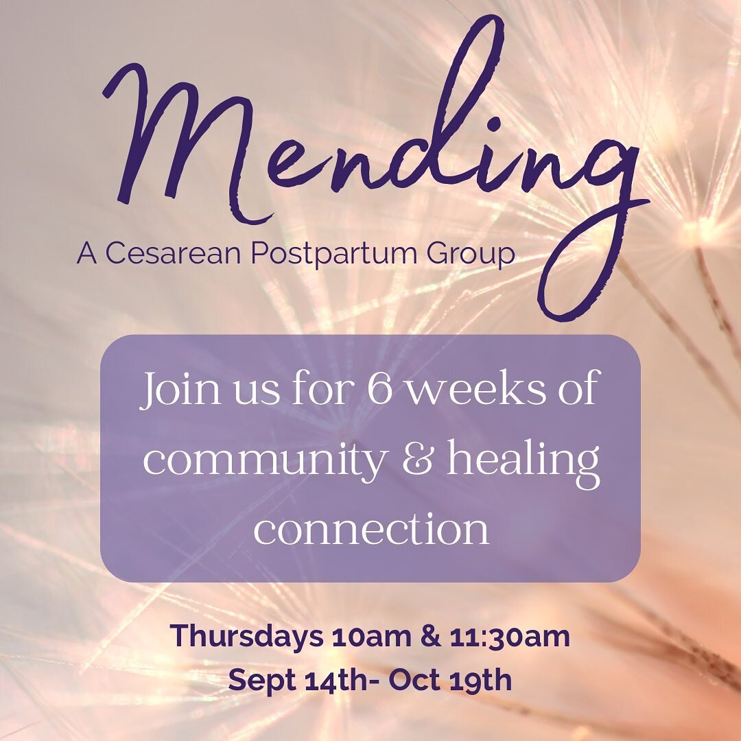 This past week @ado_stare and I wrapped up our first cohort of our cesarean postpartum group. It was moving and joyful and such an honor to witness the strength and resilience of these women.

For the fall we are adding @parkslopedoula as a third co-