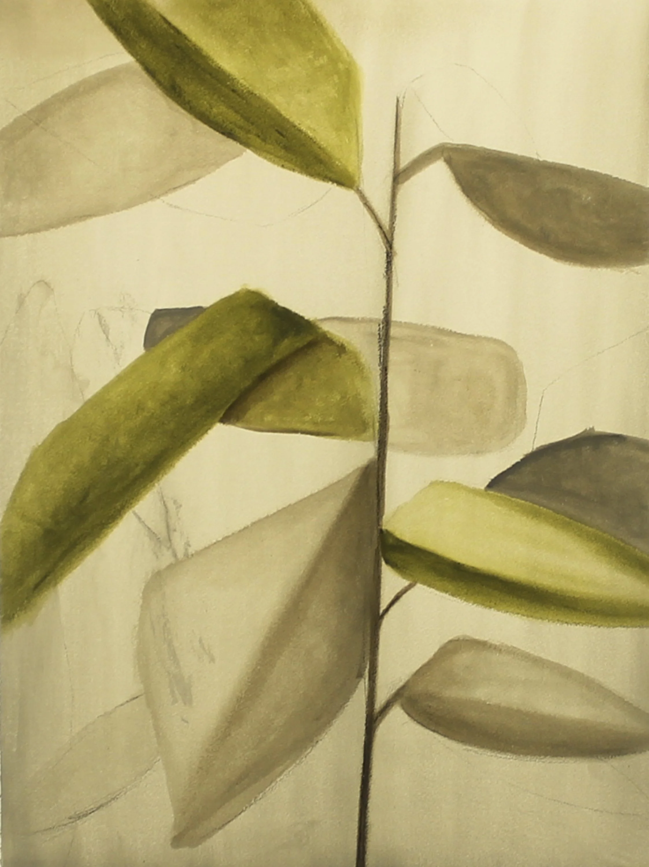 cornstalk #1 - watercolor on paper - 22"x30" - 2025
