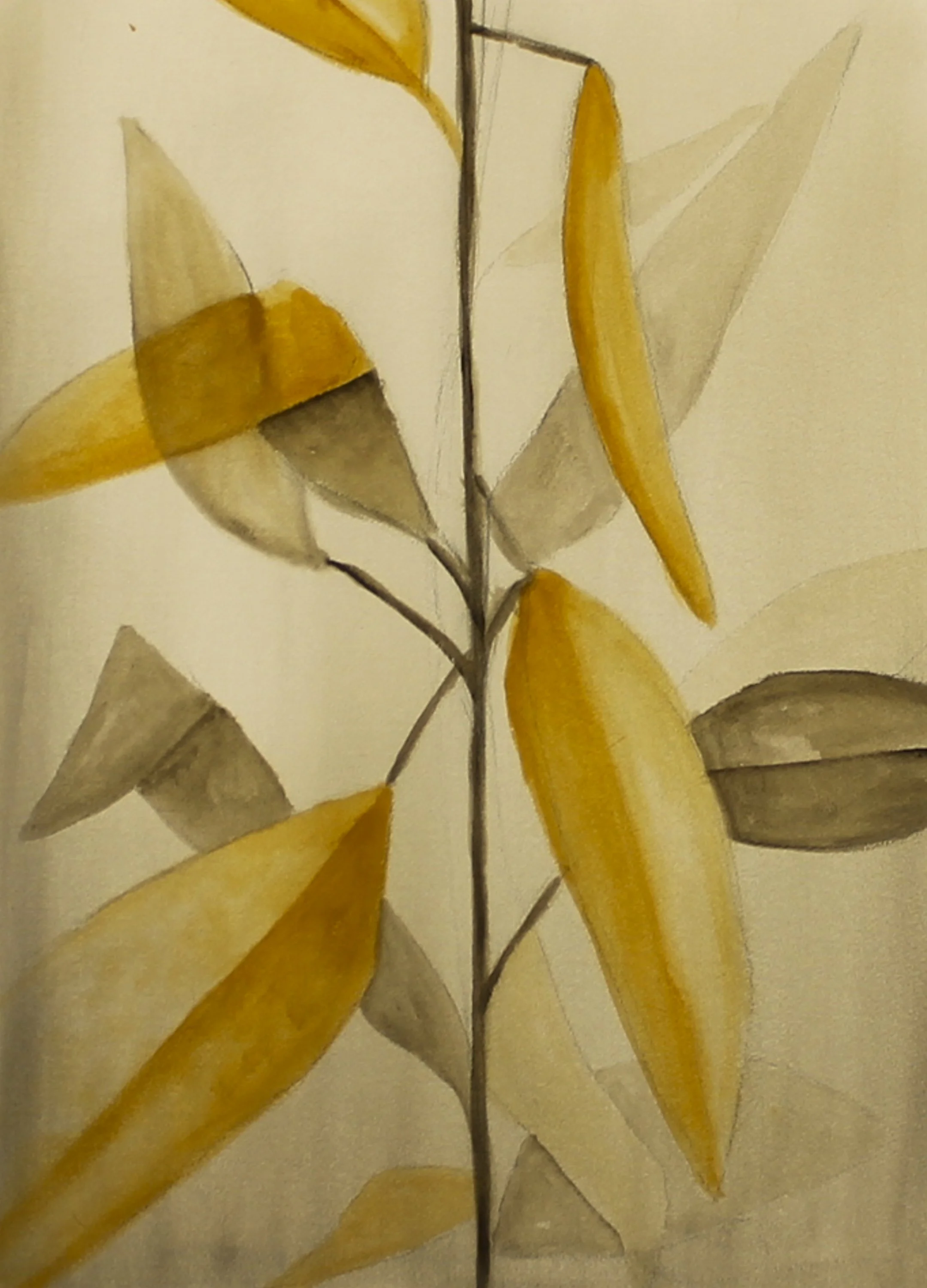 cornstalk #2 - watercolor on paper - 22"x30" - 2025