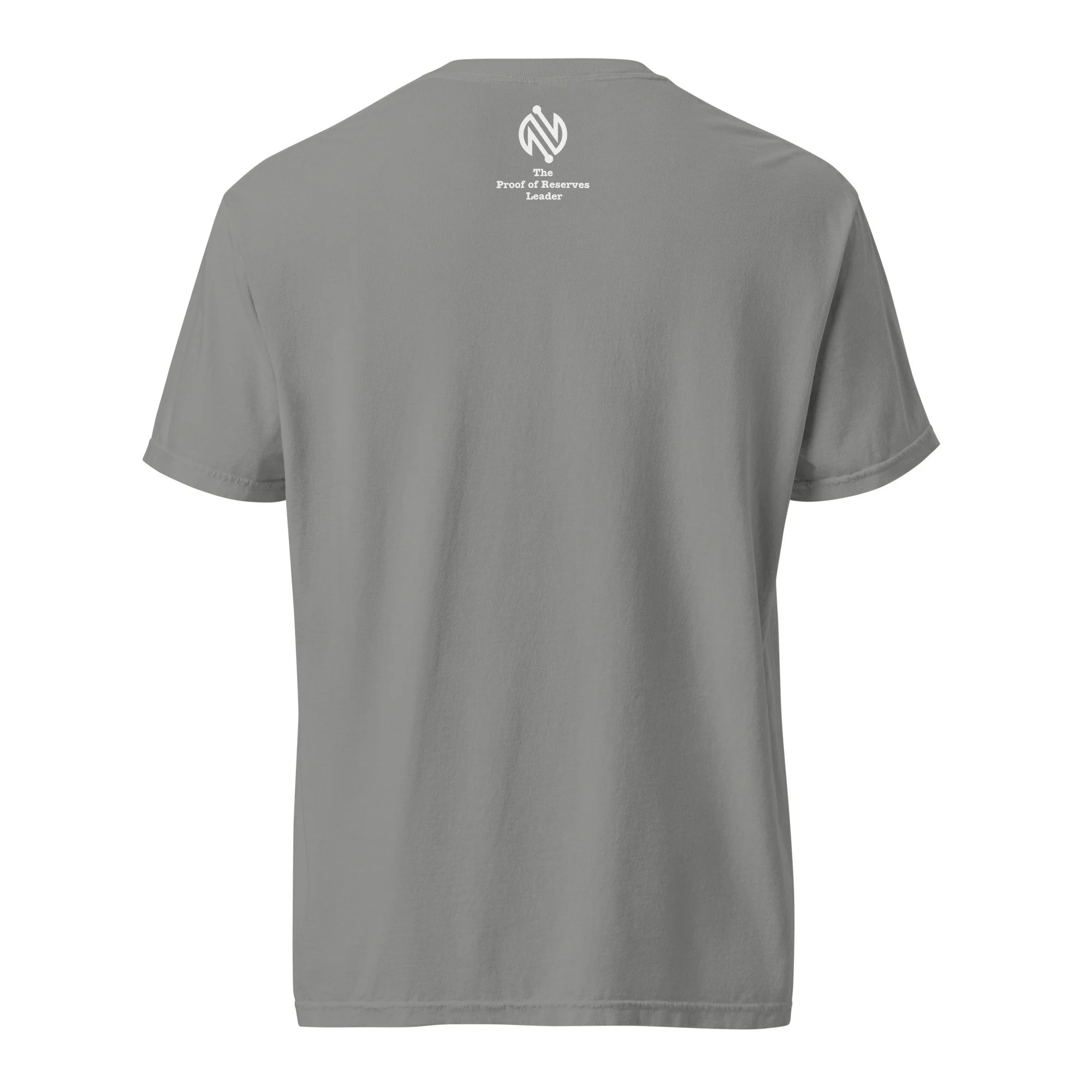 unisex-garment-dyed-heavyweight-t-shirt-grey-back-688c227c245c8.jpg