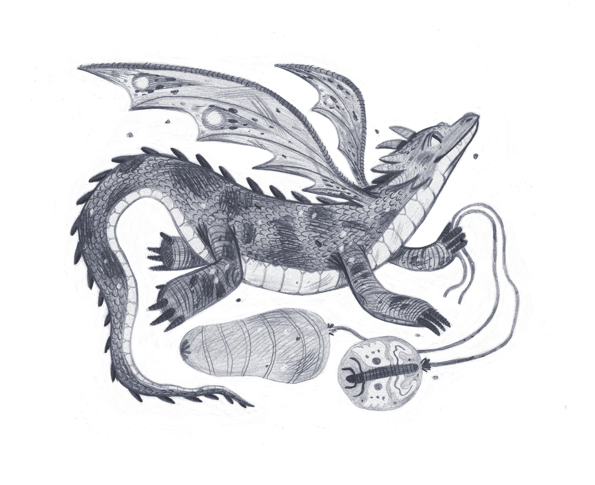 Rinty The Dragon - Rinty