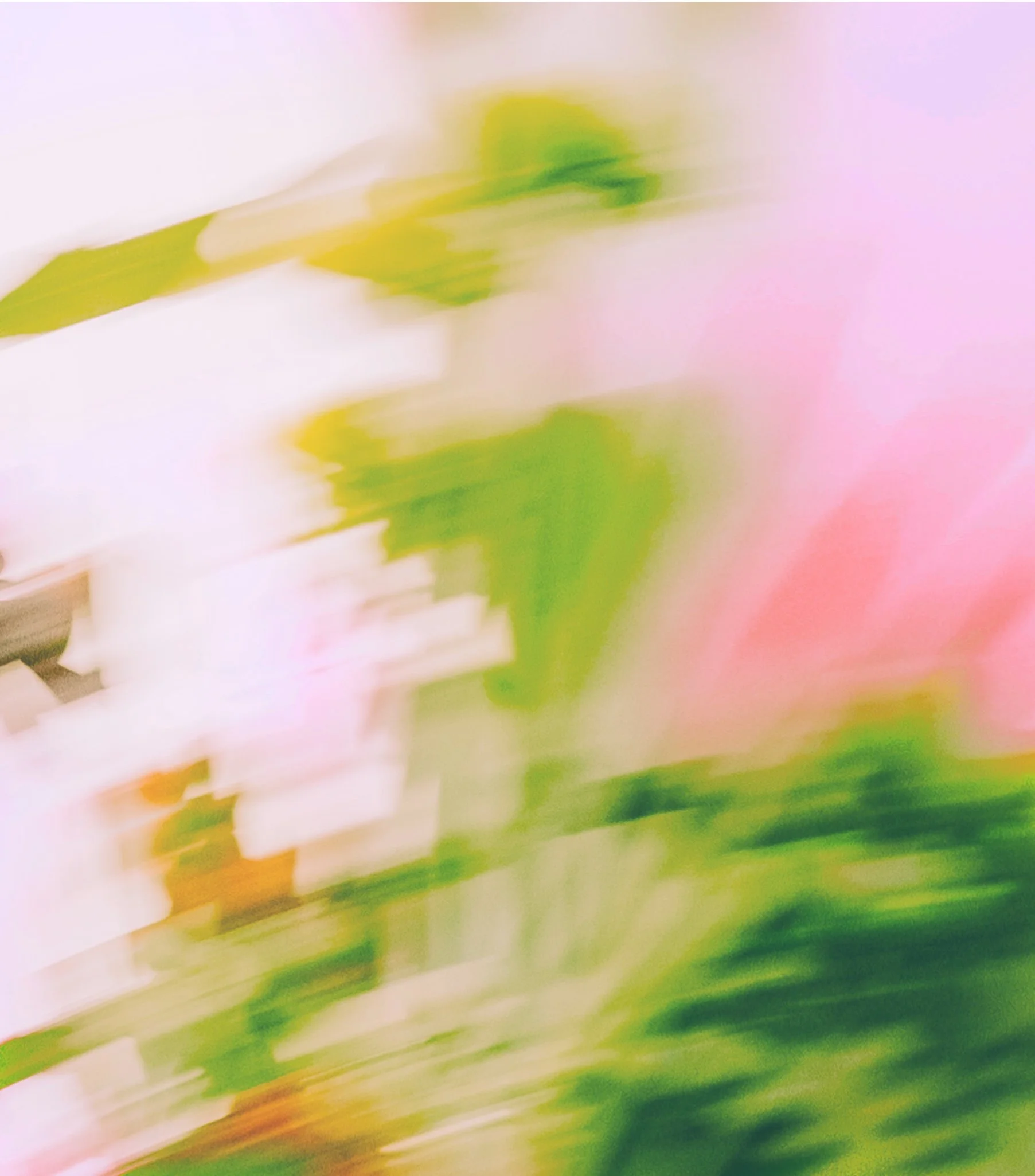 Blurred image with pink, green, and white colors, possibly flowers or plants.