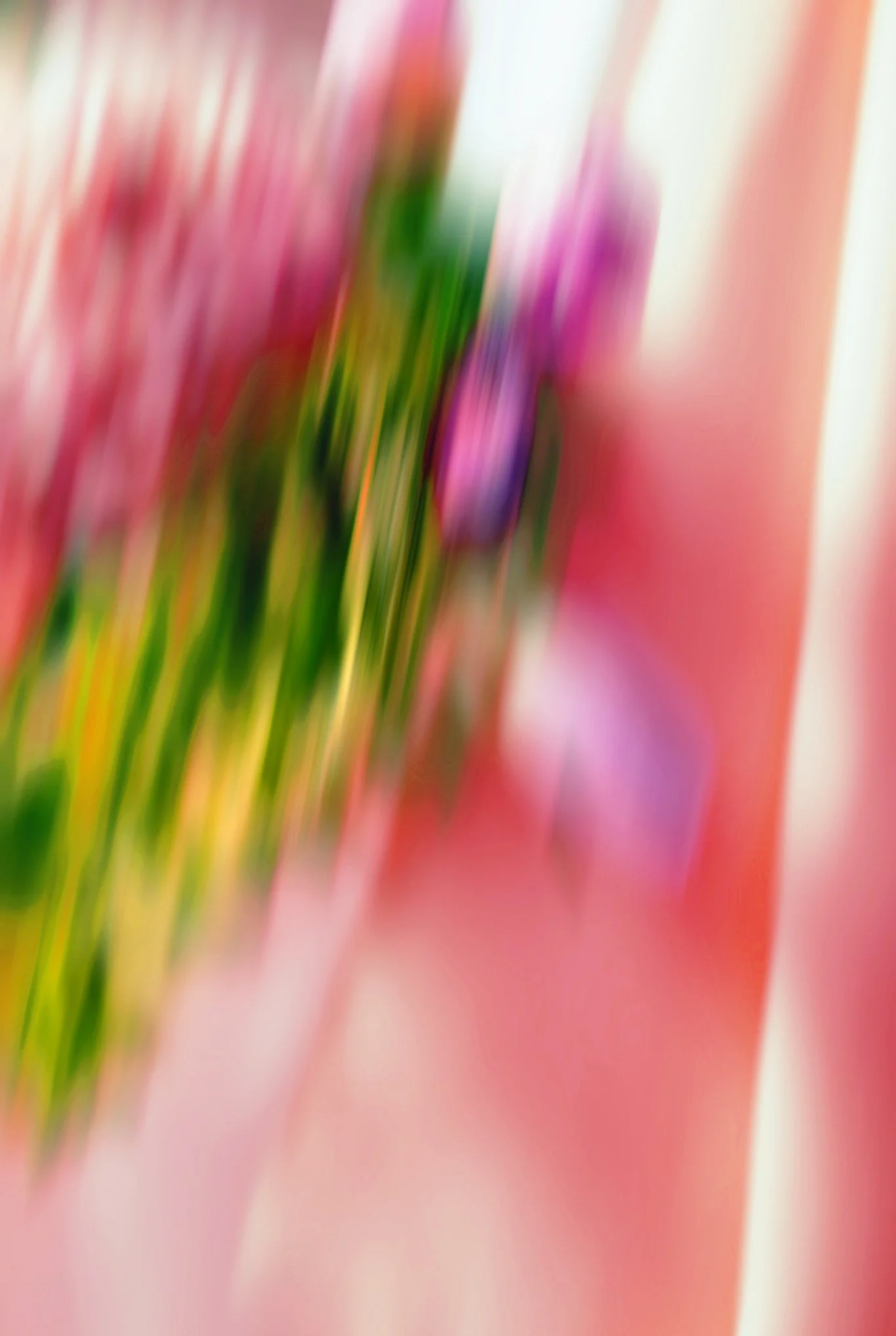 Blurred close-up of purple and pink flowers against a soft pink background.