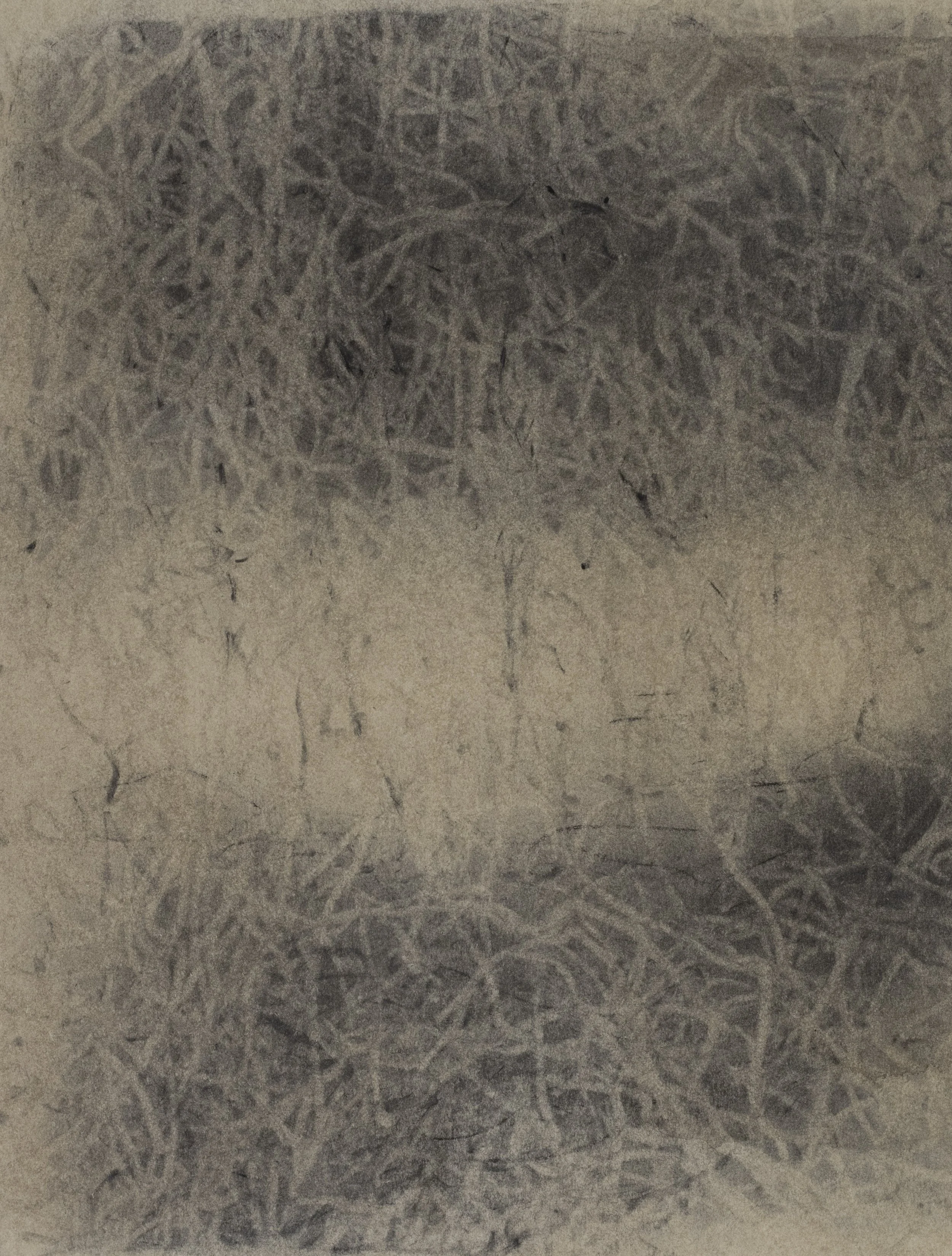 Untitled, 2017, Ink and graphite powder on paper, 9 x 7 inches