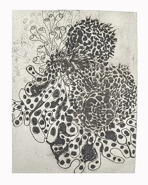 Untitled, 2018, Pencil on paper, 8 x 6 inches