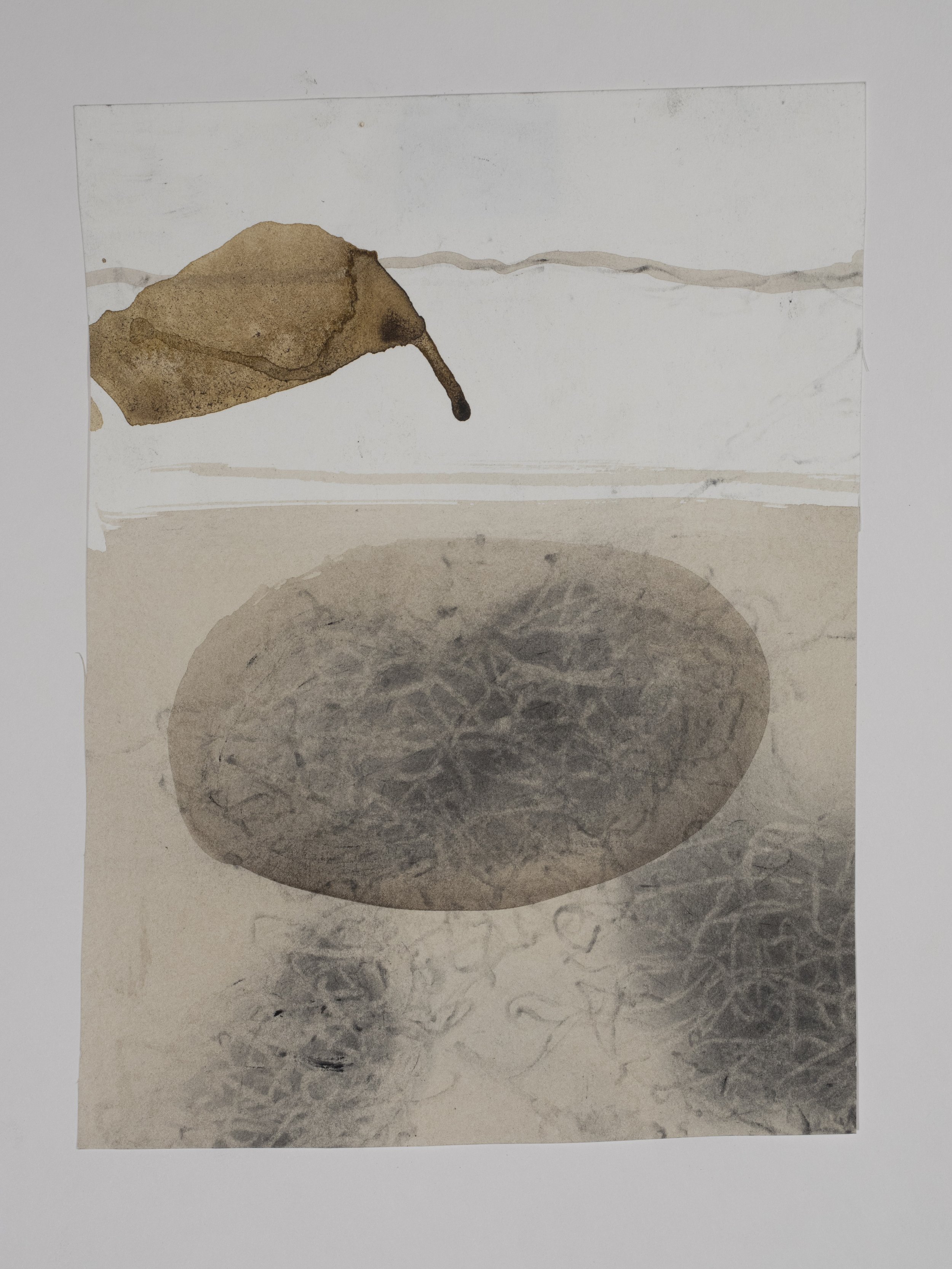Untitled, 2015, Ink and graphite powder on paper, 9 x 7 inches
