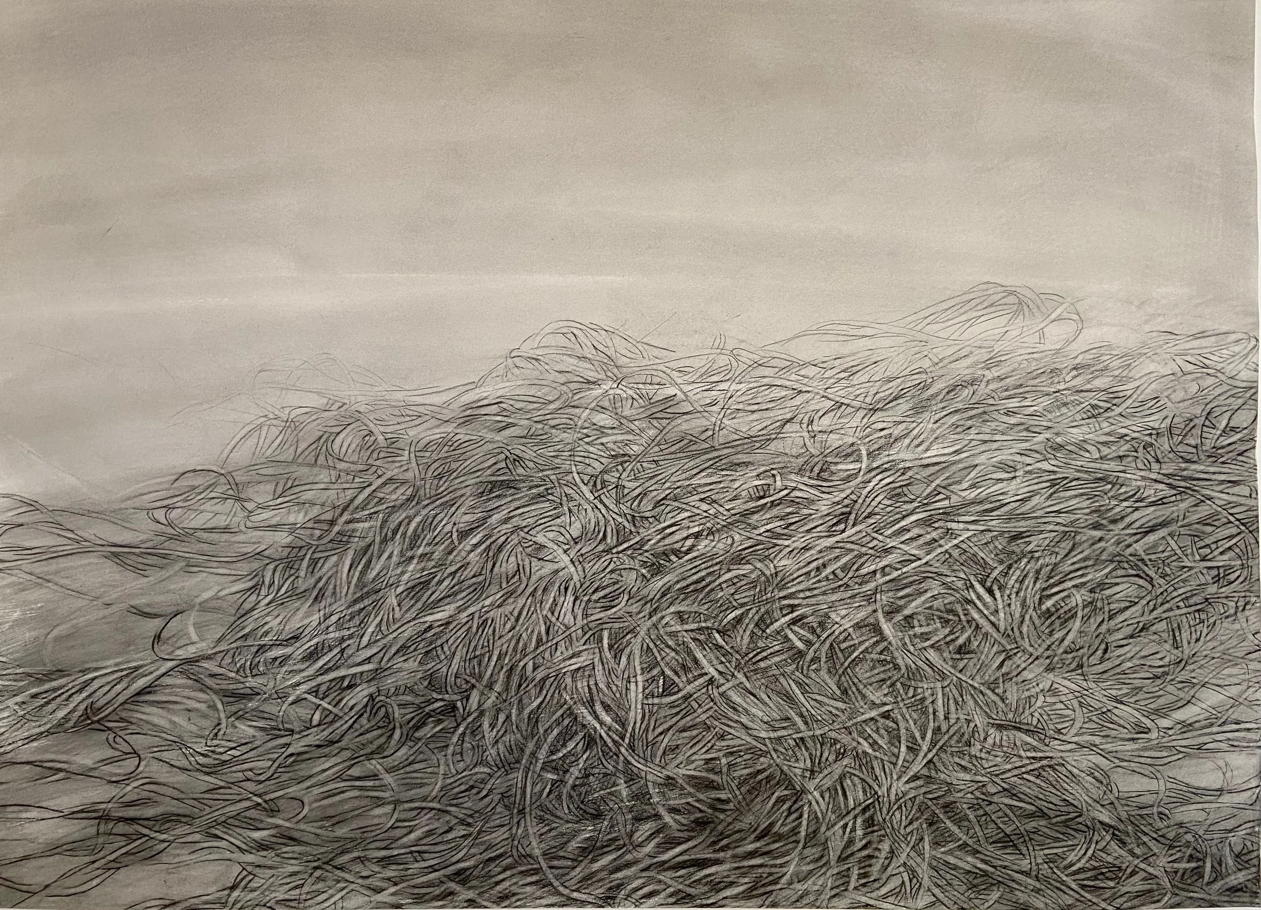 "Tangle", 2015, 34 x 48 inches, charcoal, ink on paper