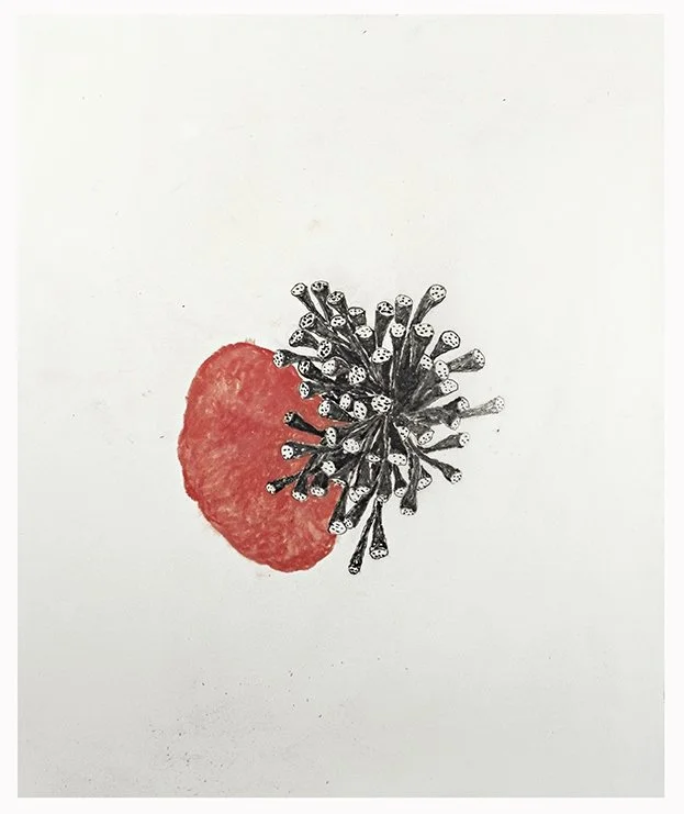 Untitled, 2017, Colored pencil on paper, 17 x 14 inches