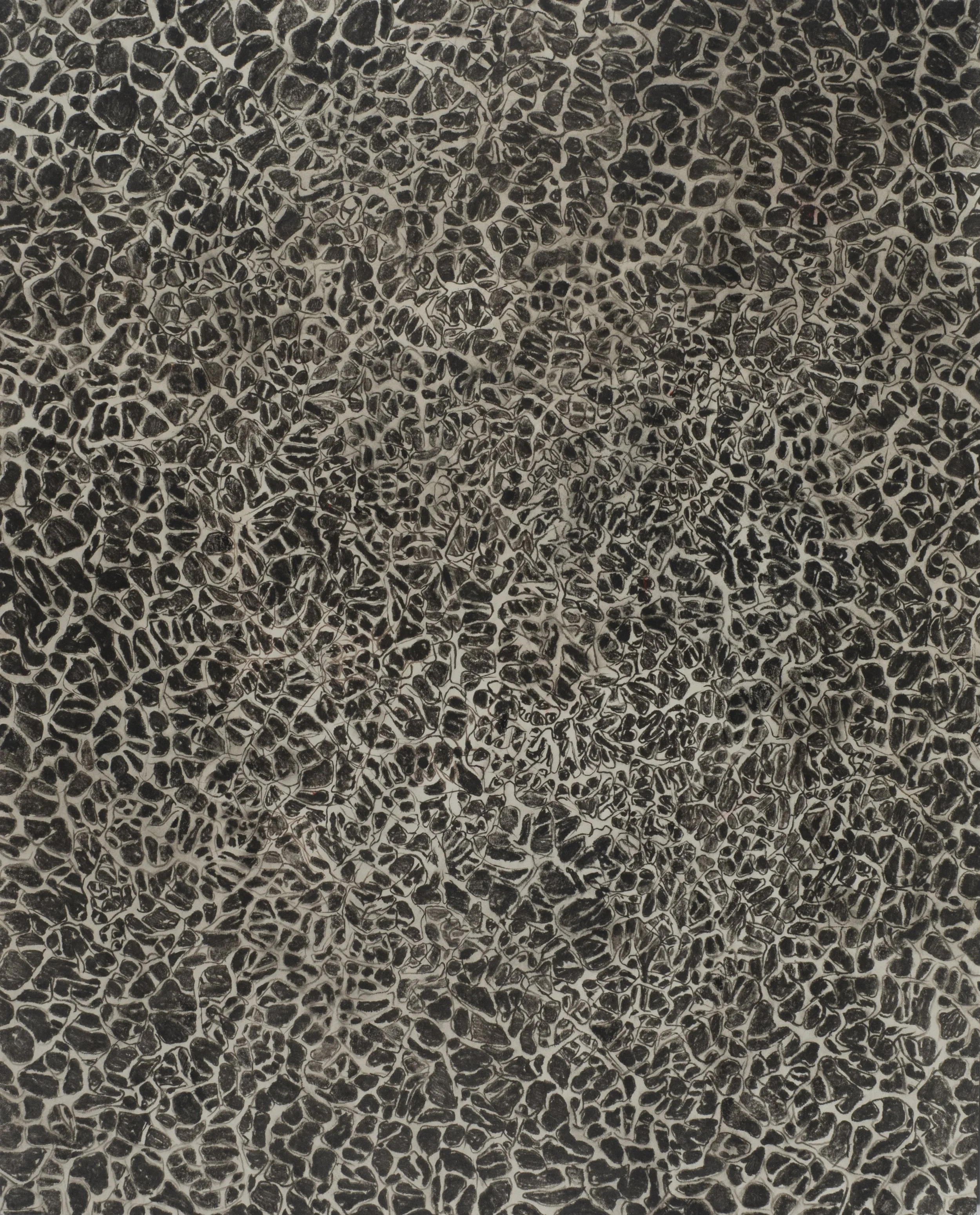 Untitled, 2016, Pencil and ink on paper, 14 x 11 inches
