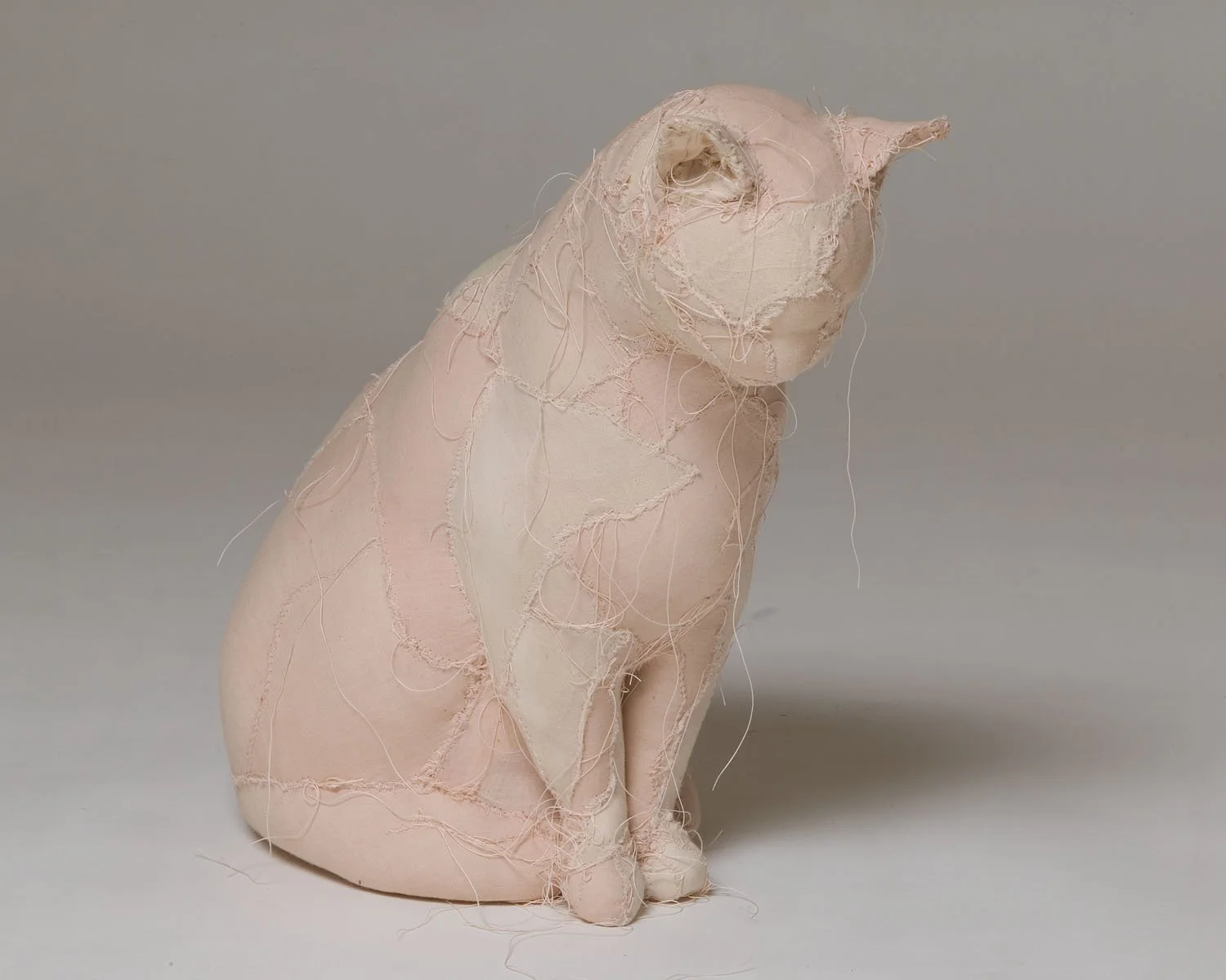 "Spell" Detail, 2004-5, Dyed muslin, polyester, fiberfill