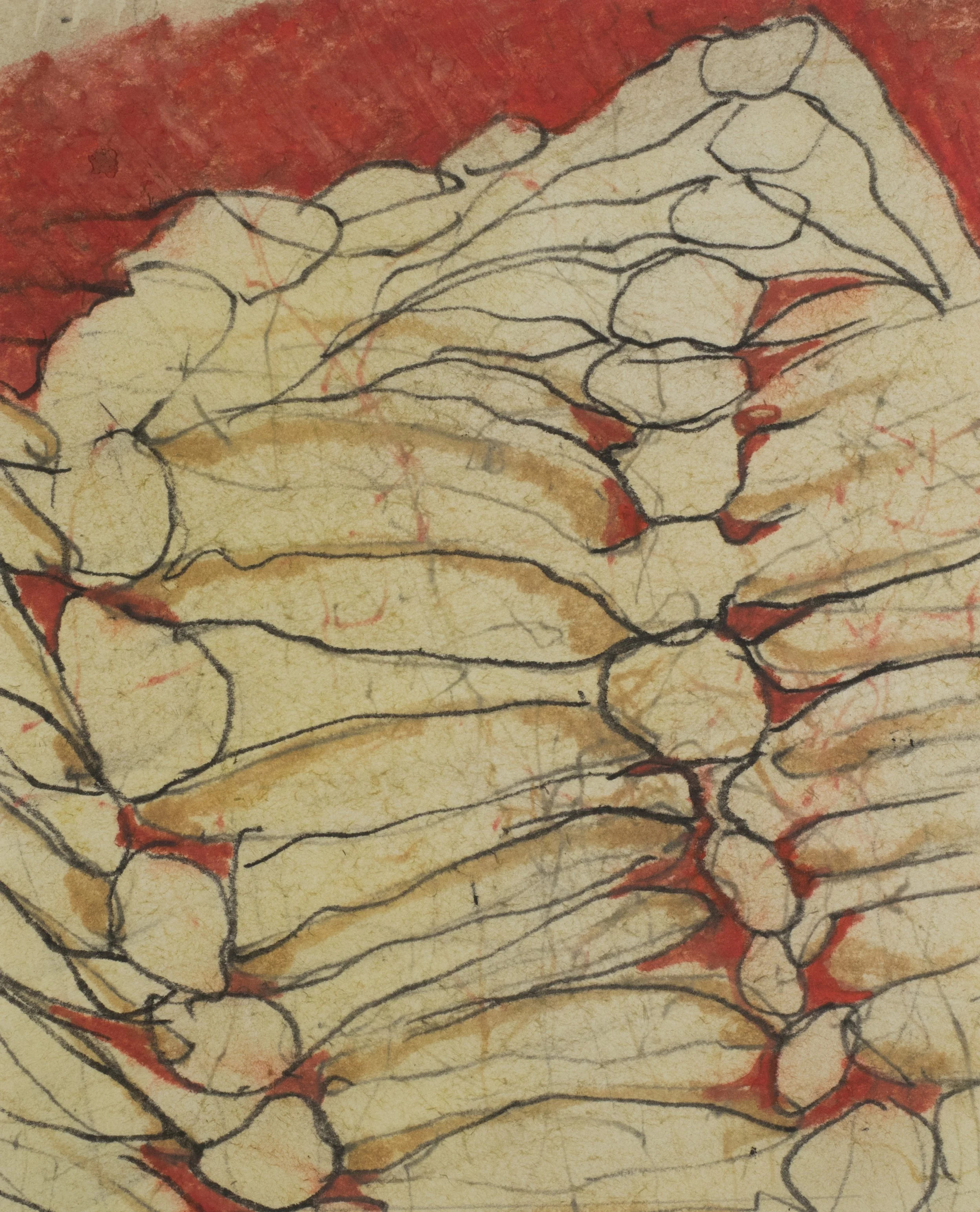 Untitled, 2017, Colored pencil on paper, 6.5 x 5.5 inches