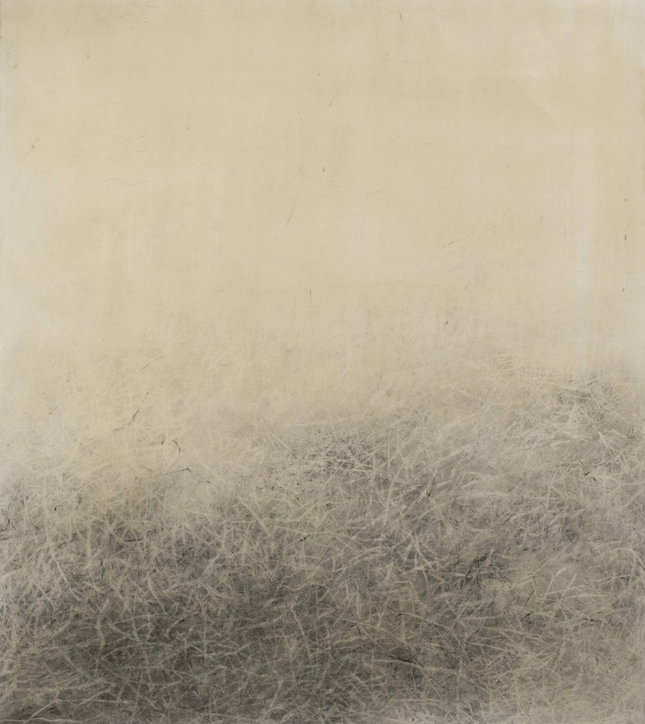 Untitled, 2018, Graphite powder and ink on paper, 27 x 24 inches
