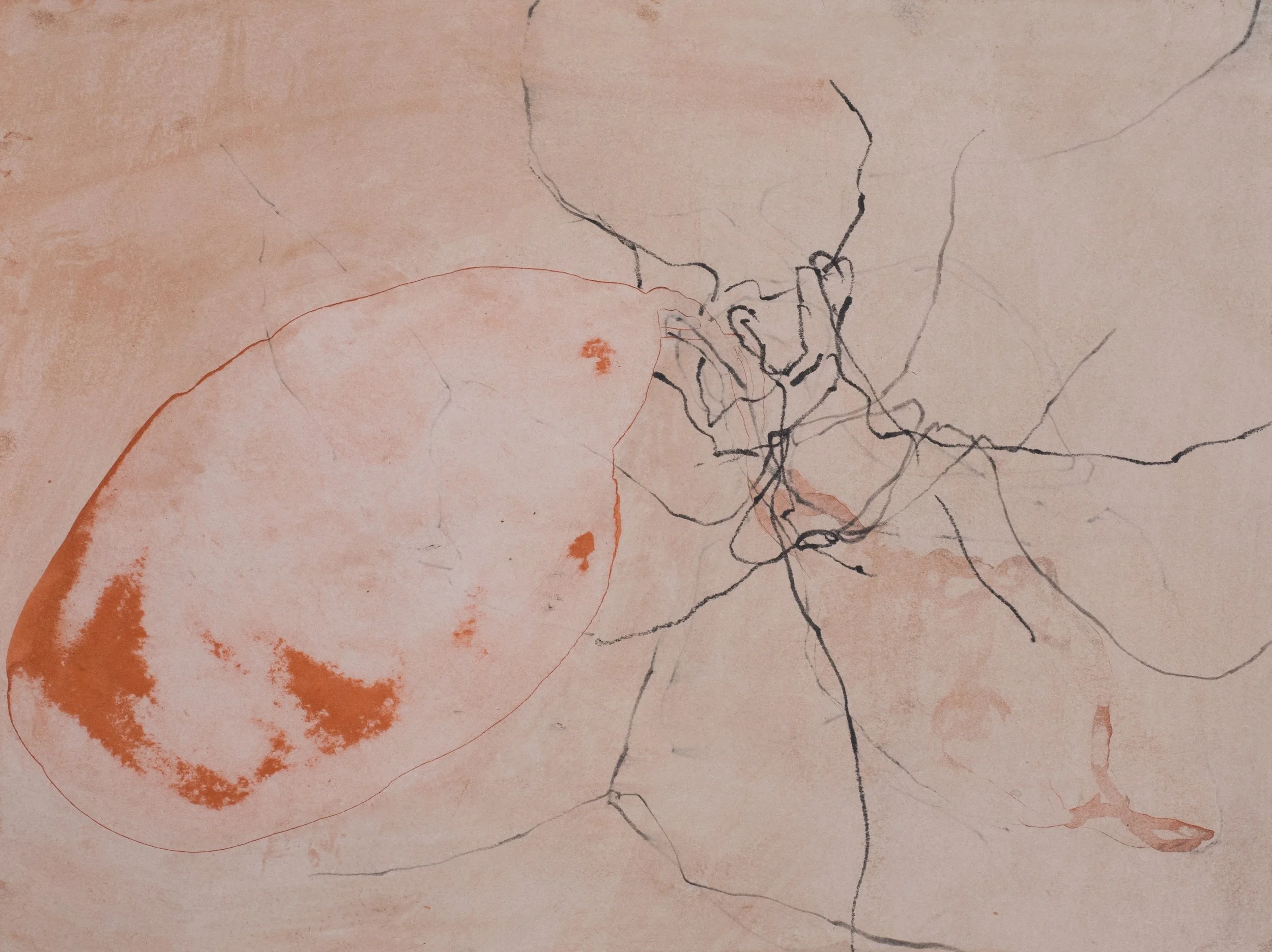 Untitled, 2015, Ink and pencil on paper, 12 x 9 inches