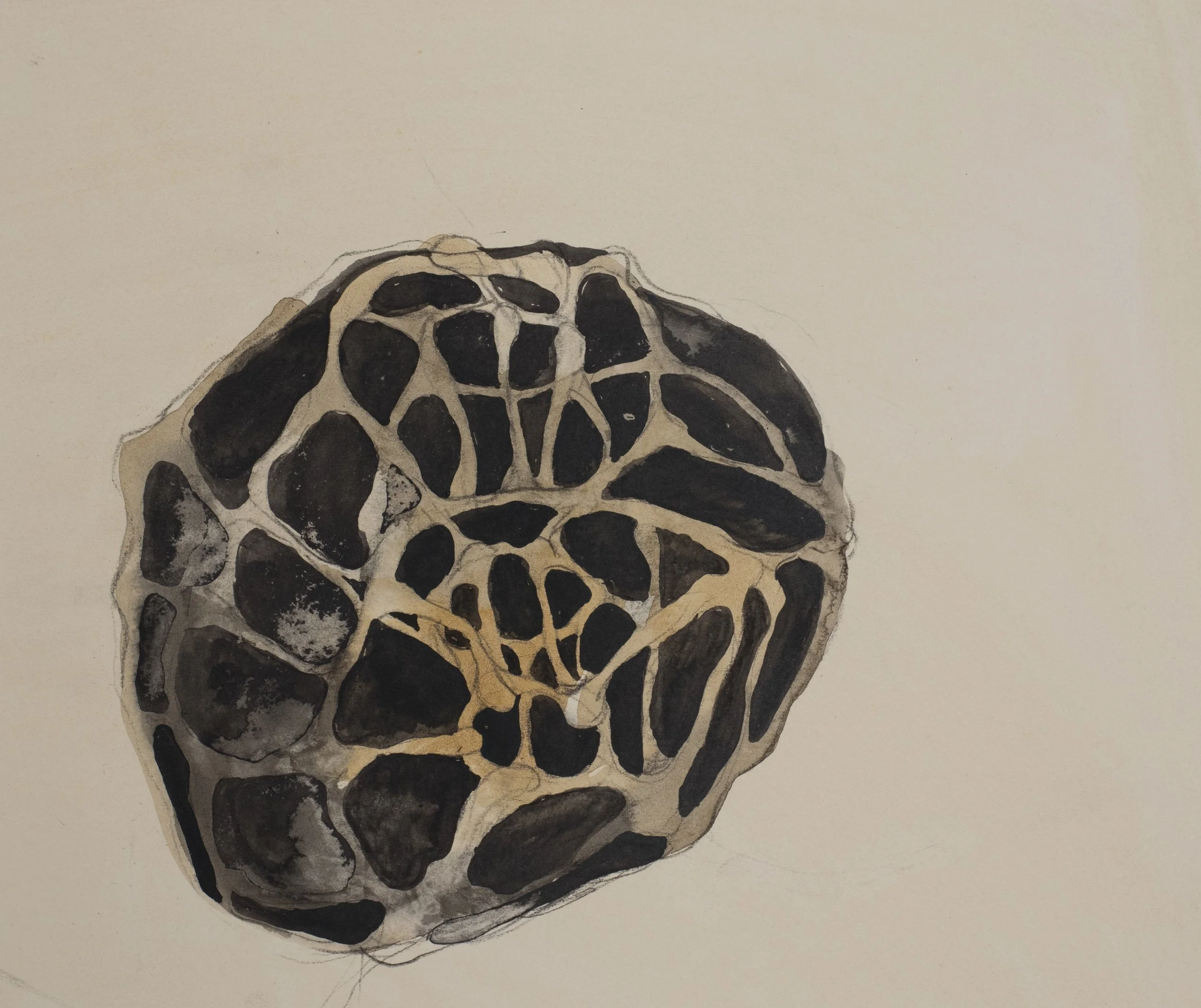 Untitled, 2016, Pencil and ink on paper, 8 x 10 inches