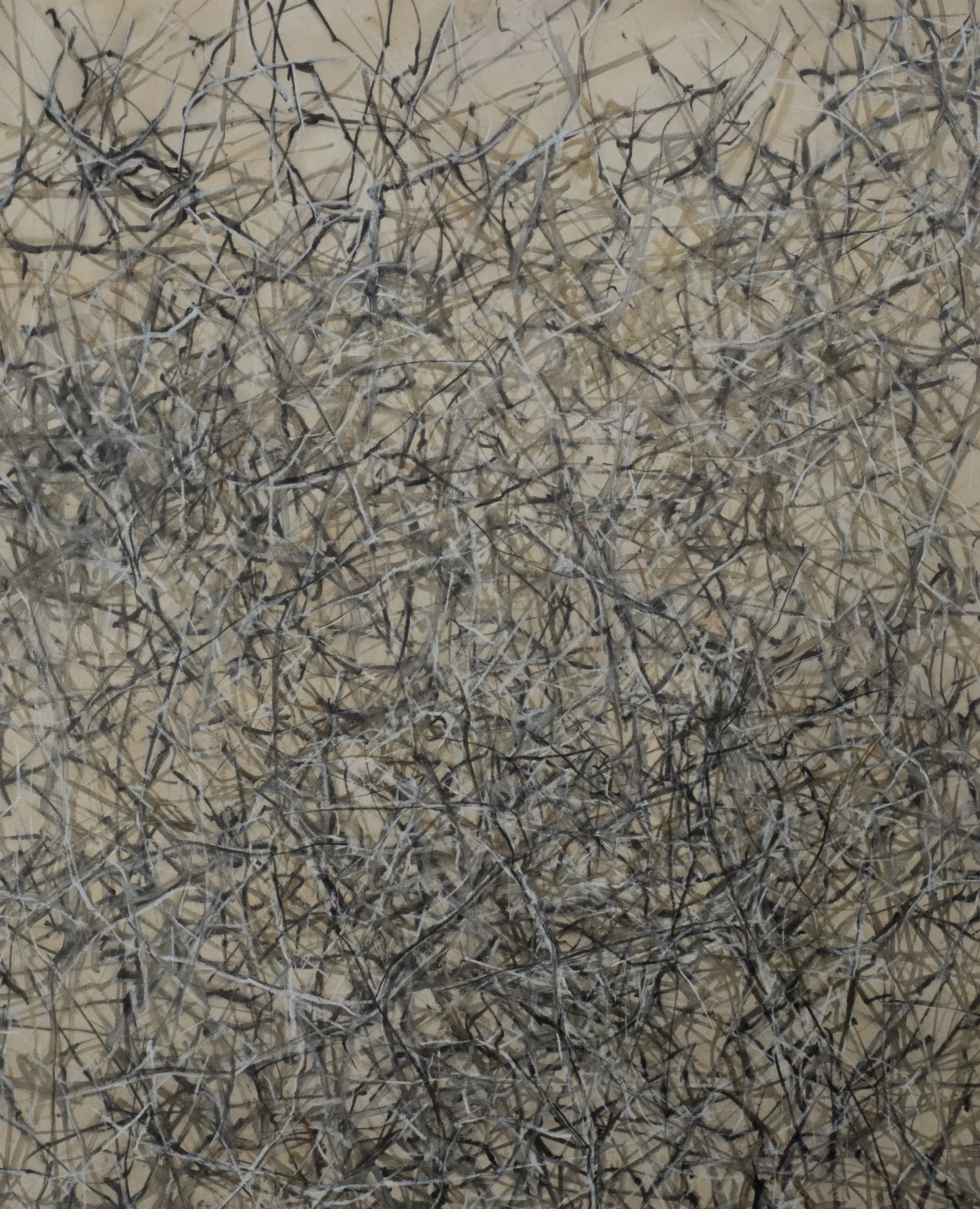 Untitled, 2017, Colored pencil and ink on paper, 16 x 13 inches