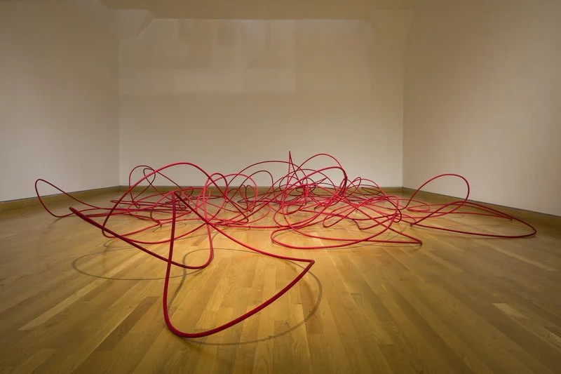 "Wilderness", 2014, Reeds, paint, epoxy