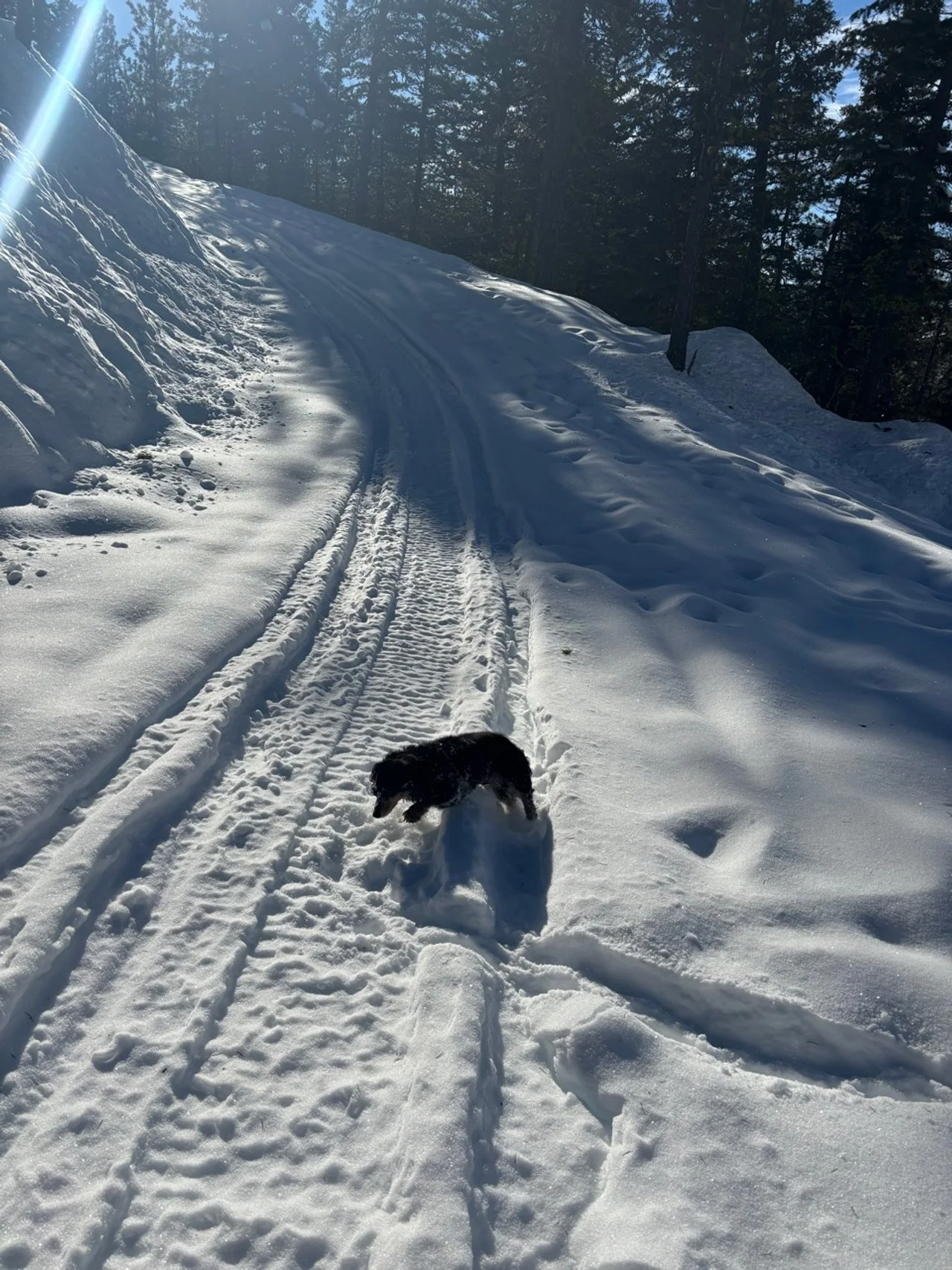 Your Family’s Winter Adventure Guide to Lake Chelan