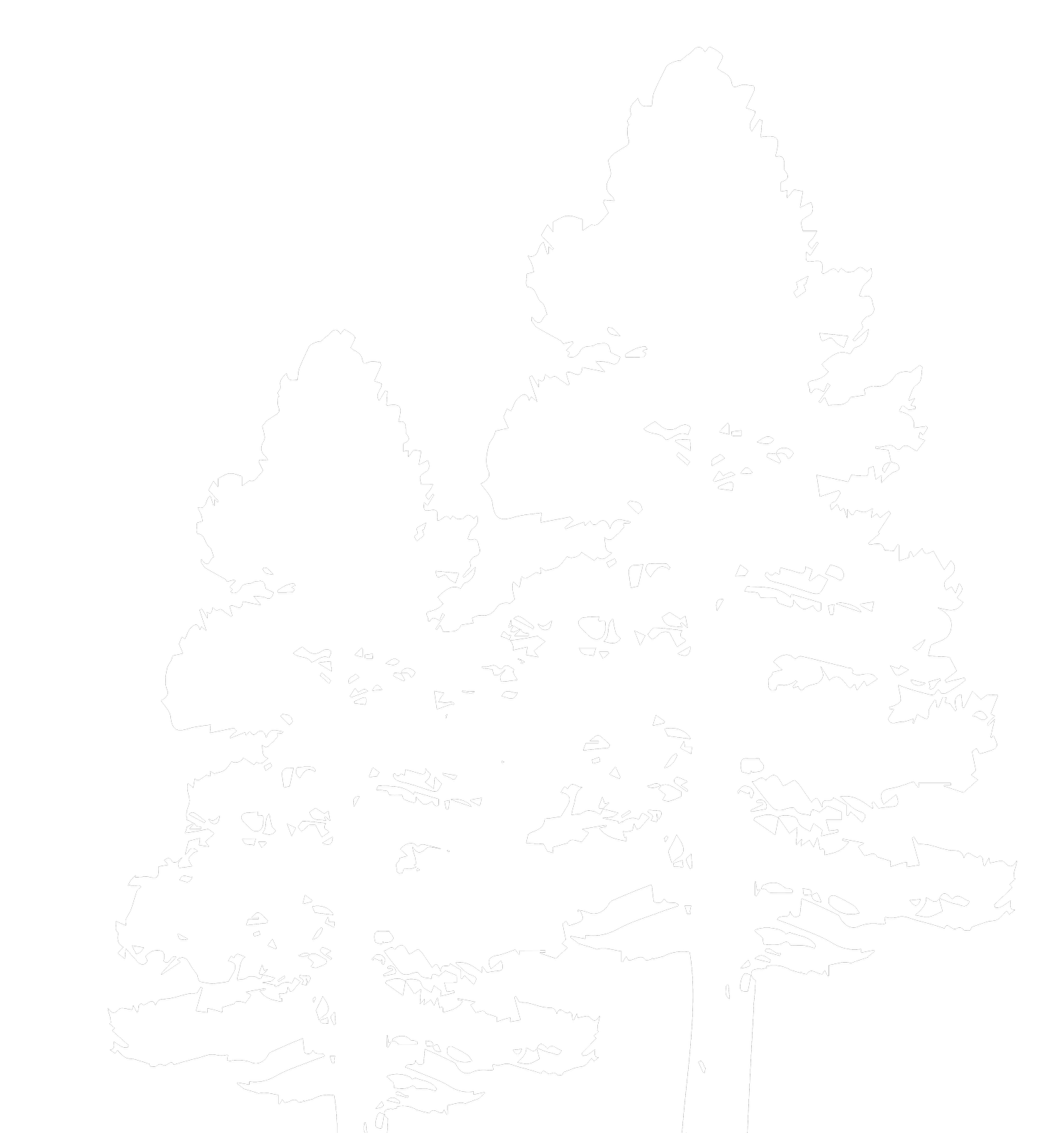 Specials — Echo Valley Resort & Cabins