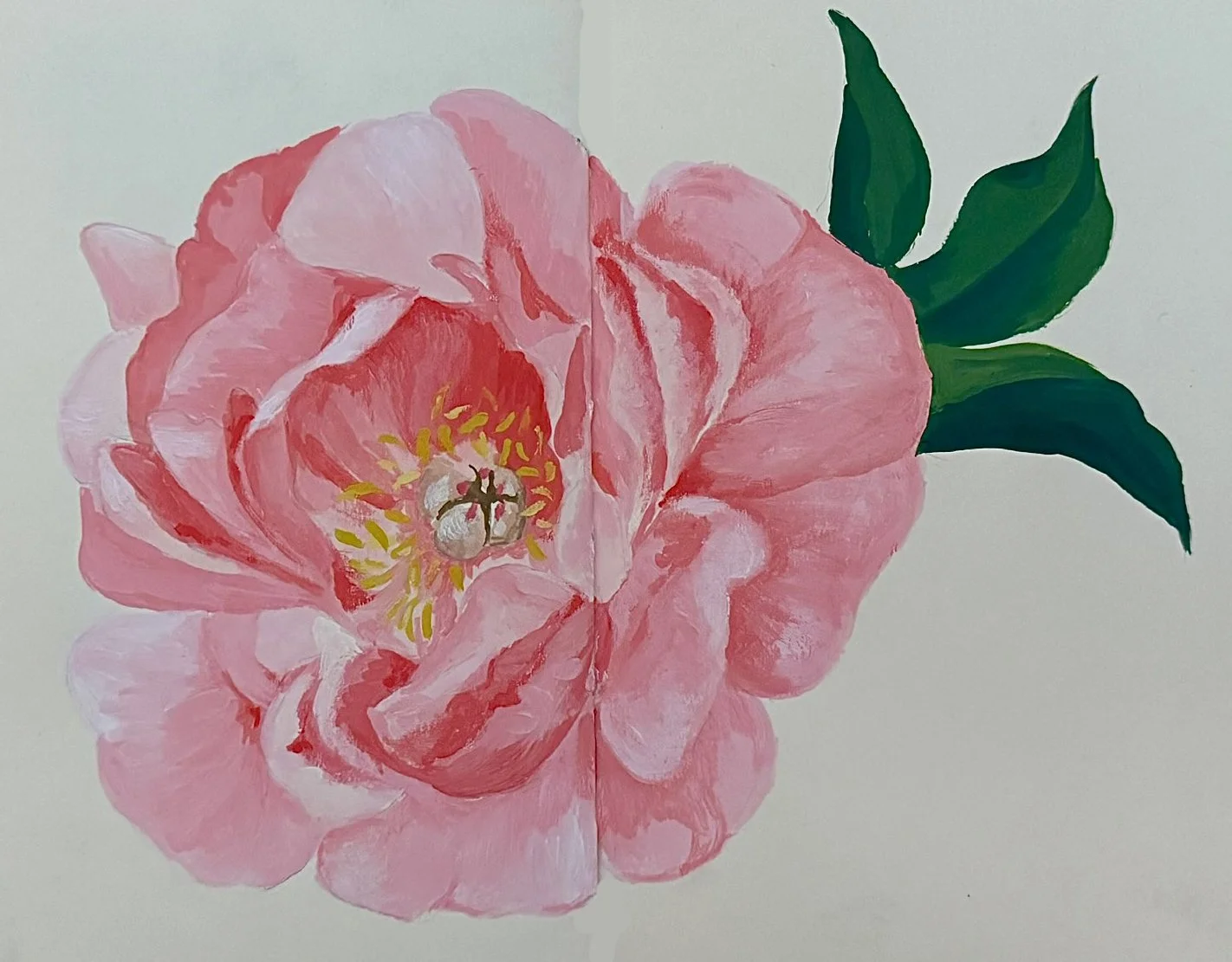 peonie.jpg
