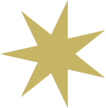 Gold star-shaped badge or decoration.