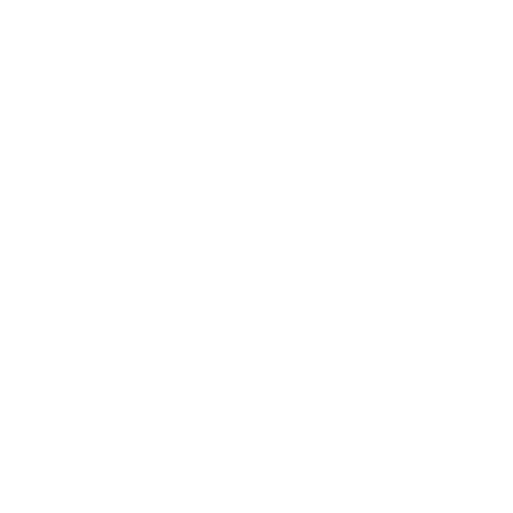 Brandi & Co White logo