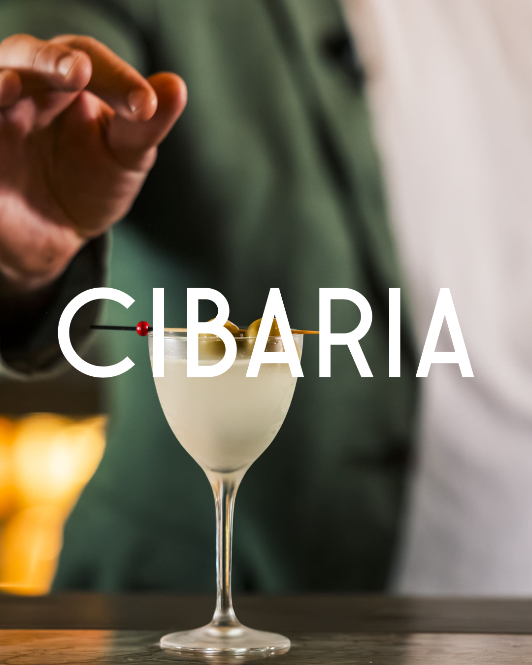 CIBARIA.png