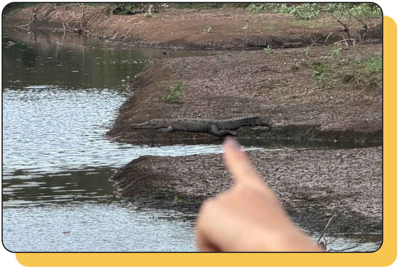 Adaptabilidad como la del cocodrilo