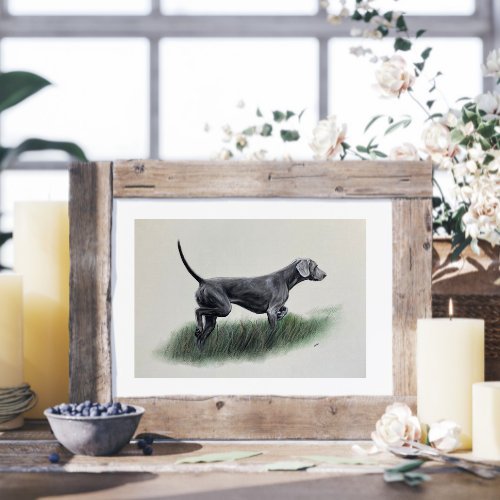 https://i.etsystatic.com/8830640/r/il/70f0a0/3206941149/il_fullxfull.3206941149_hrdg.jpg