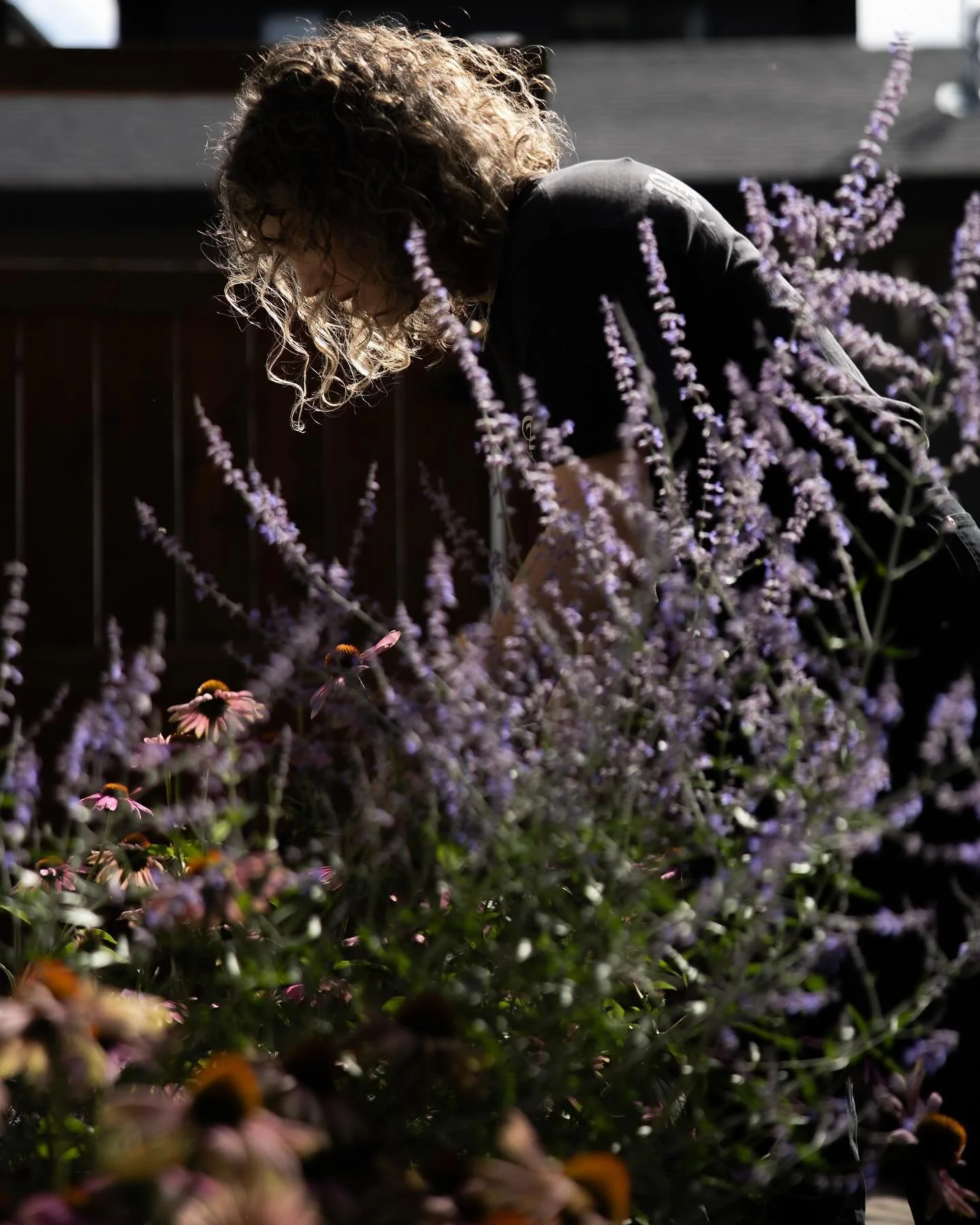 The first few months of the year offer me time to reflect on what I do and why. This winter will be spent designing gardens to replace the lawns I smothered through the fall. As I work through a design, I choose plants of different colour, texture an