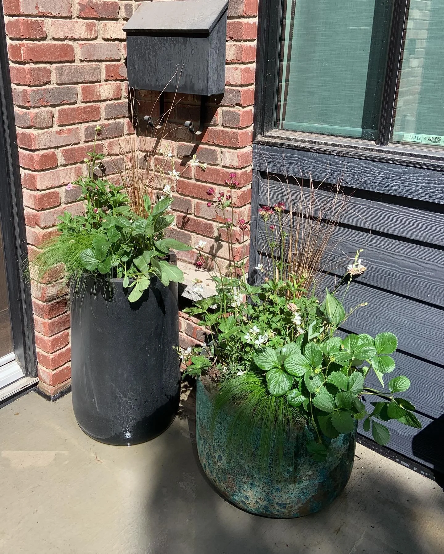 A much belated roundup of this season&rsquo;s summer planters. As always, a big focus on pollinator friendly material like Gaura, Astrantia, Verbena and Cranesbill. Perennial and annual plant material sourced from Alberta growers (@lohrcarolyn  @coun