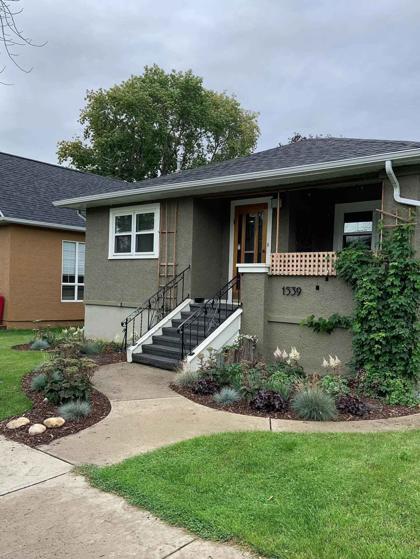 A newly planted garden can feel a little underwhelming in its first year. In the first year of growth, most or the garden&rsquo;s development happens underground in the roots, with very little happening on the surface. In the second year, plants begi