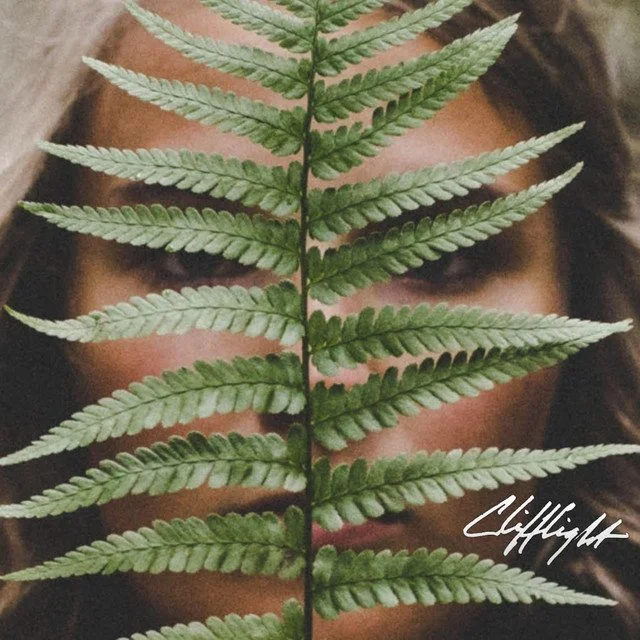 Clifflight - While you were Sleeping.jpeg