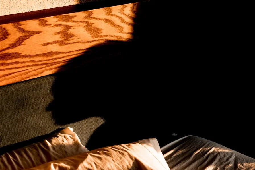 Artist Talk: Derek Hayes - Images as Mirror and Window