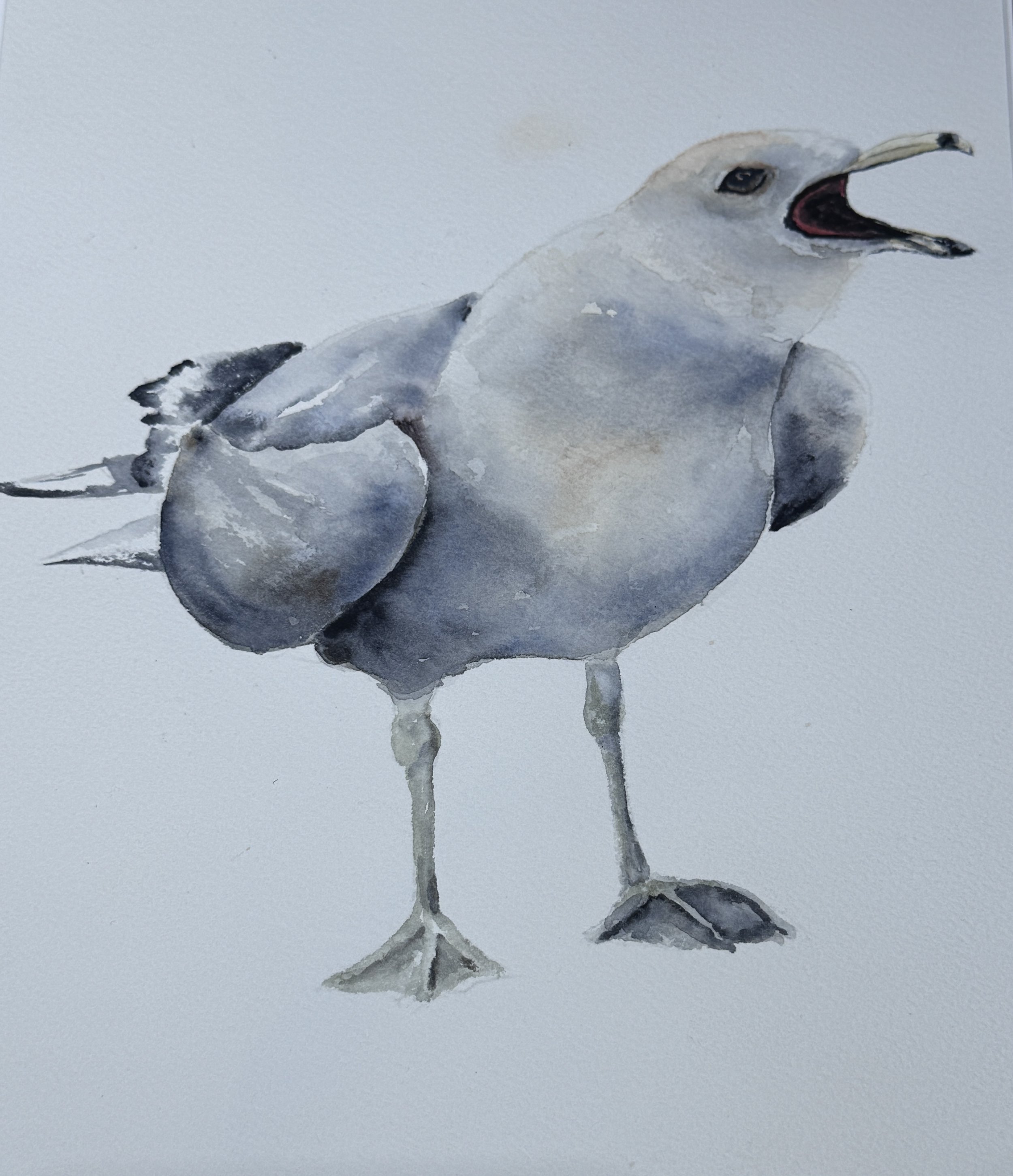 Art Exhibit: Paintings and Pottery by Mary Laury