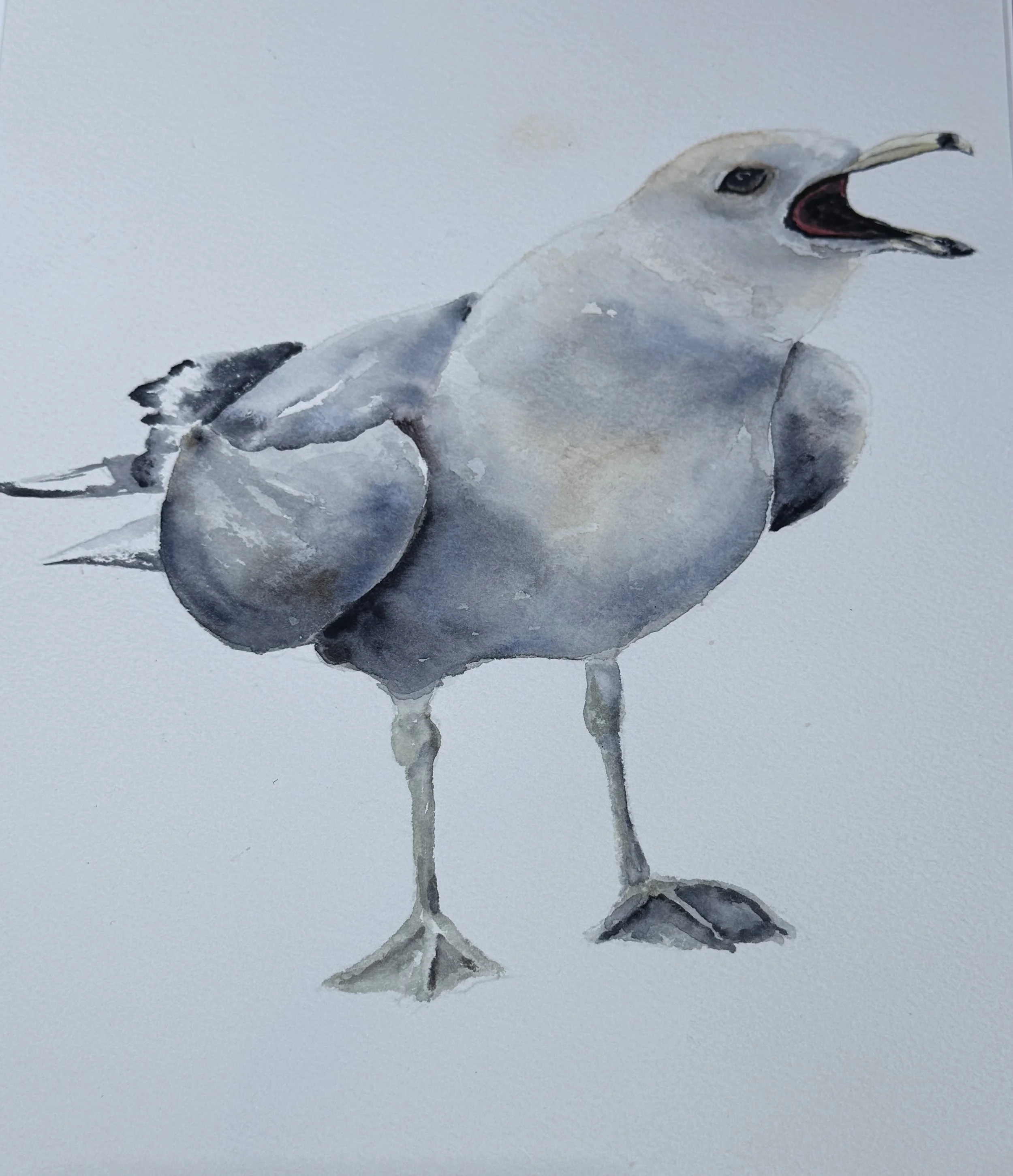 Art Exhibit: Paintings and Pottery by Mary Laury - Opening Reception